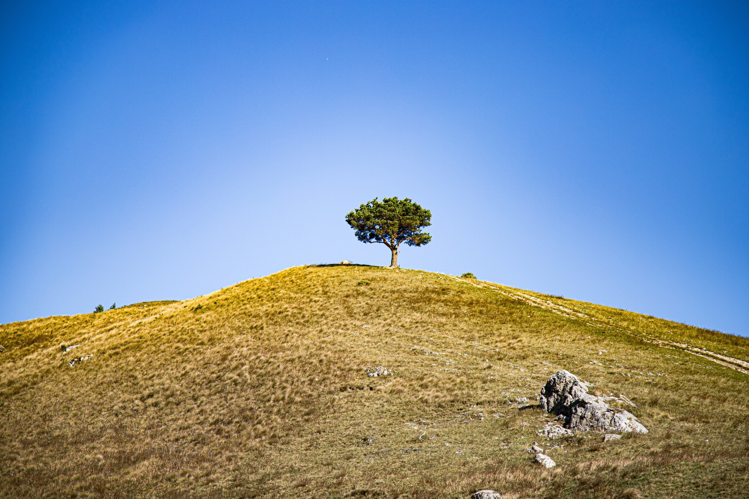 Авторские туры за границу. Премиальные авторские путешествия — наслаждайтесь эксклюзивным отдыхом. Фотограф в Перми Любовь Огородова | Авторские туры