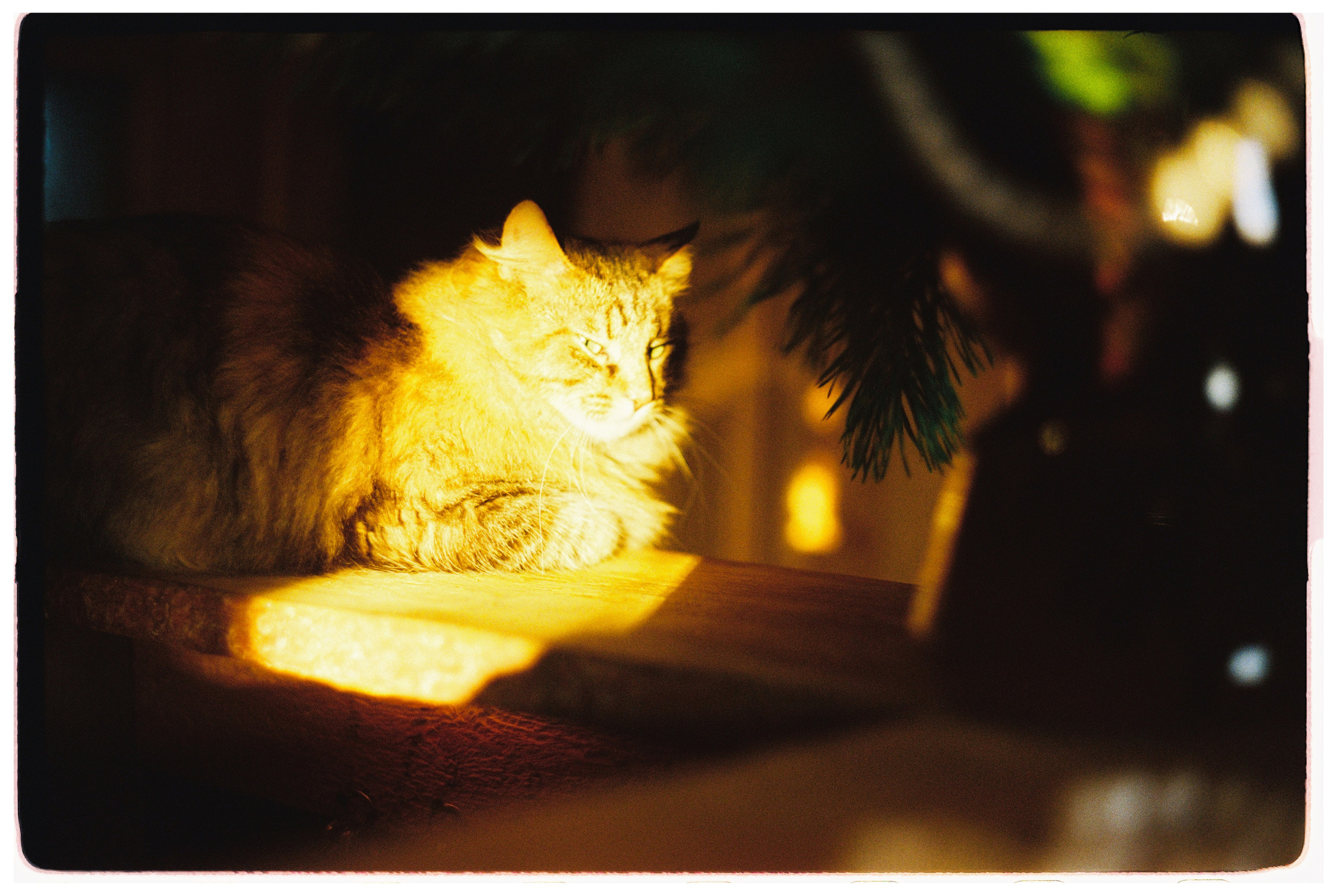 И вокруг меня. Портретный и концертный фотограф в Санкт-Петербурге Егор Телятников