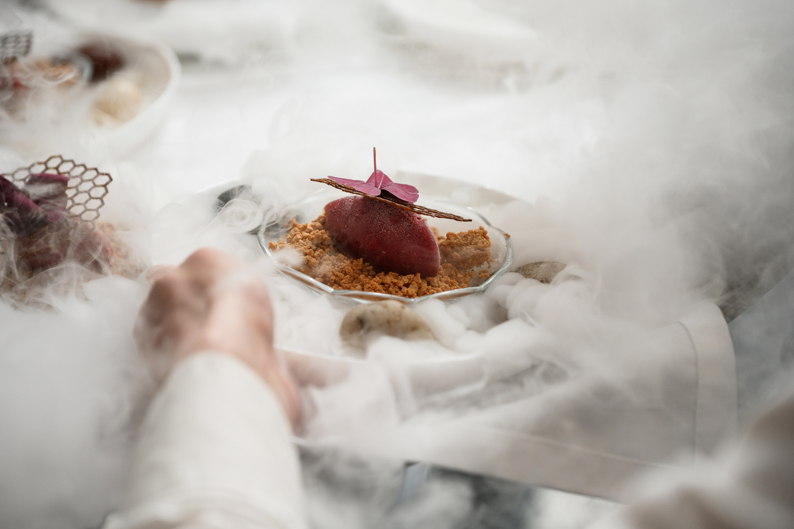 Камчатка, Сан-Марино, гала ужин, репортаж, мероприятие, блюда, ресторан