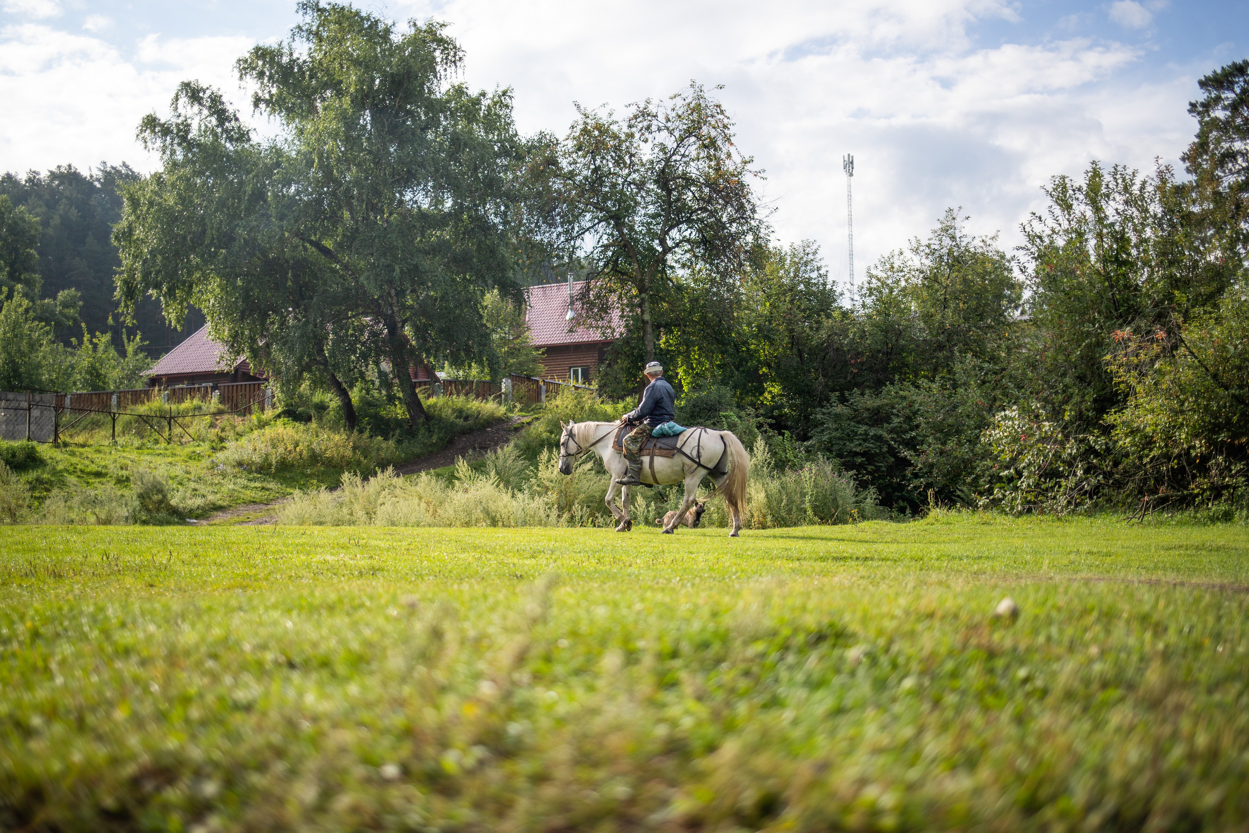 Altai Republic, Russia. Photographer Alina Skitovich