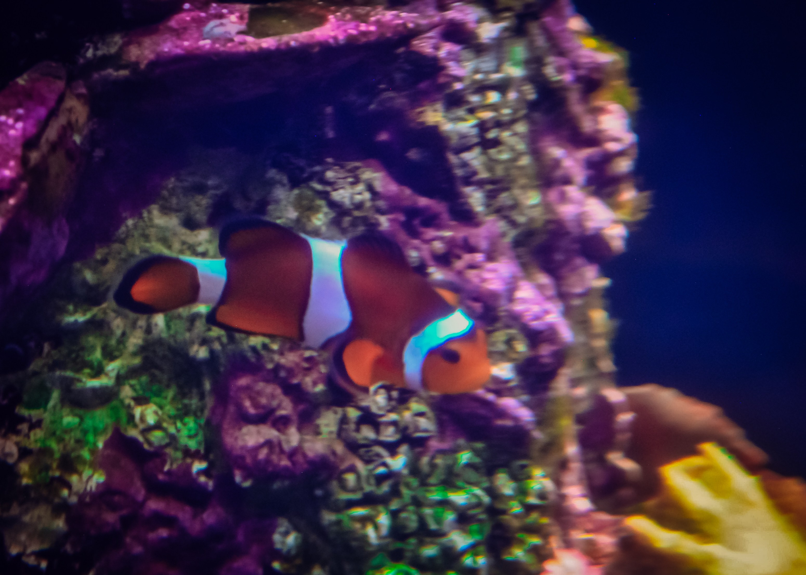 Аквапарк. Портретный фотограф DanilNabody