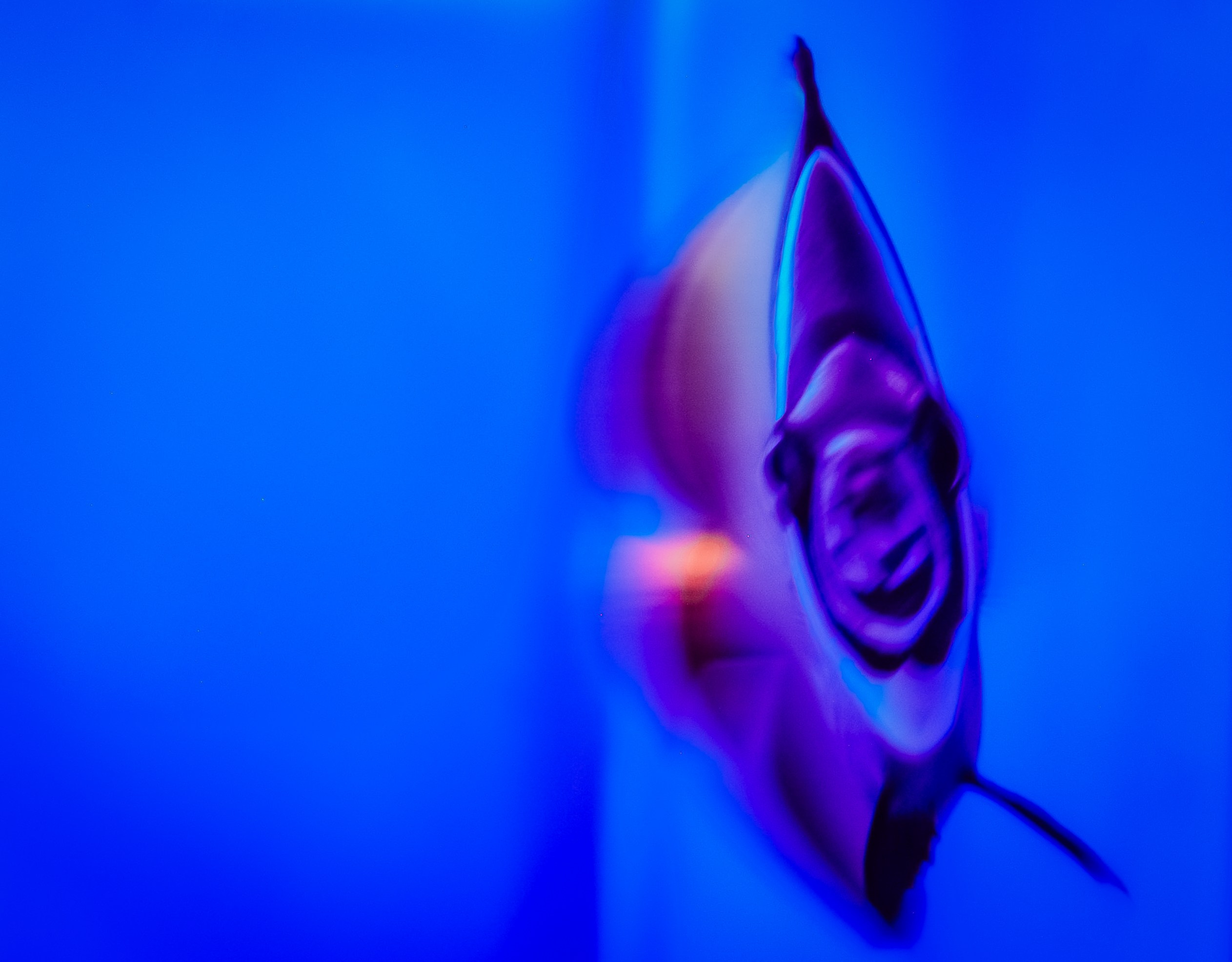 Аквапарк. Портретный фотограф DanilNabody