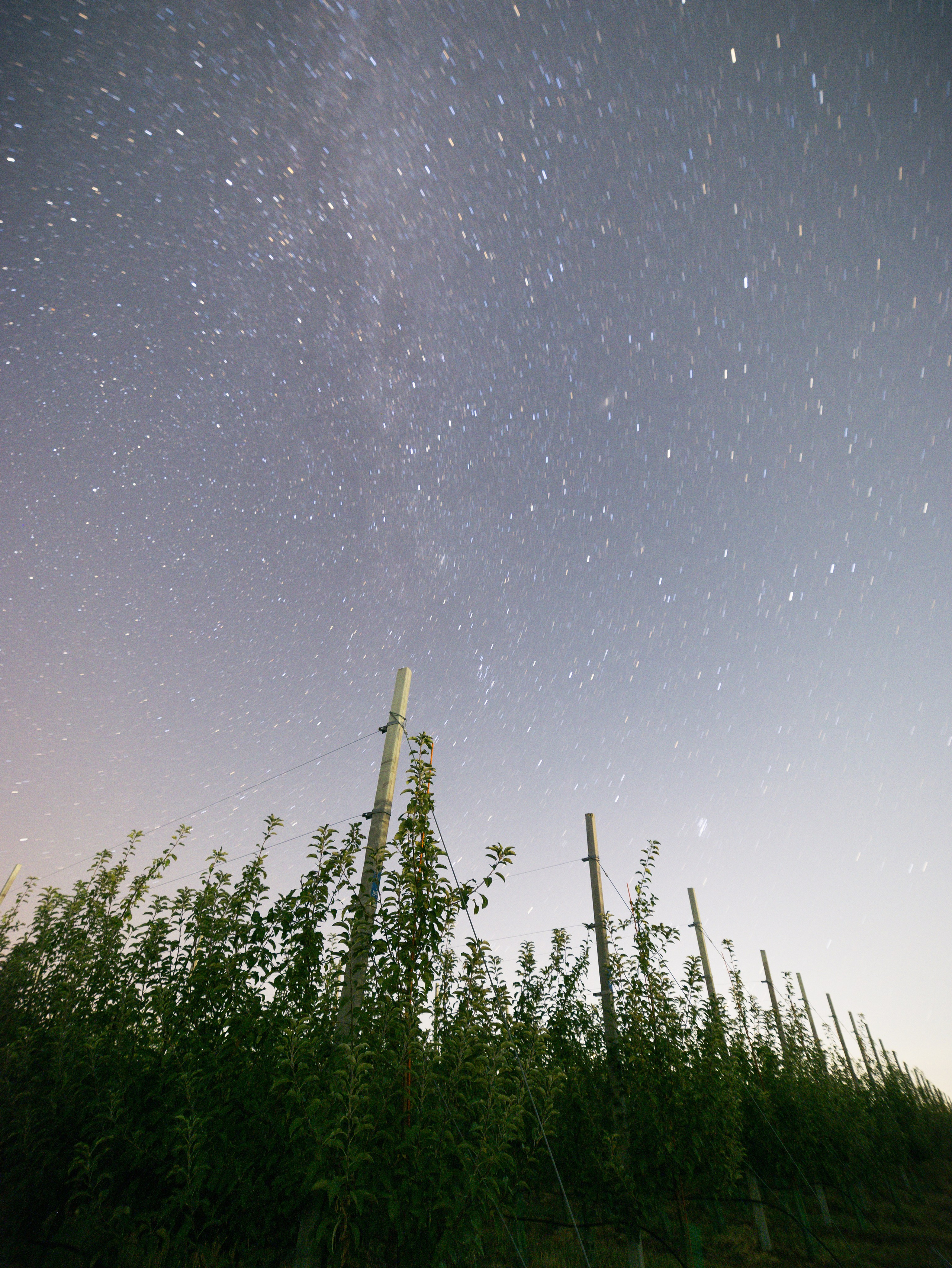 Domik в саду. Артем Корнев Фотограф
