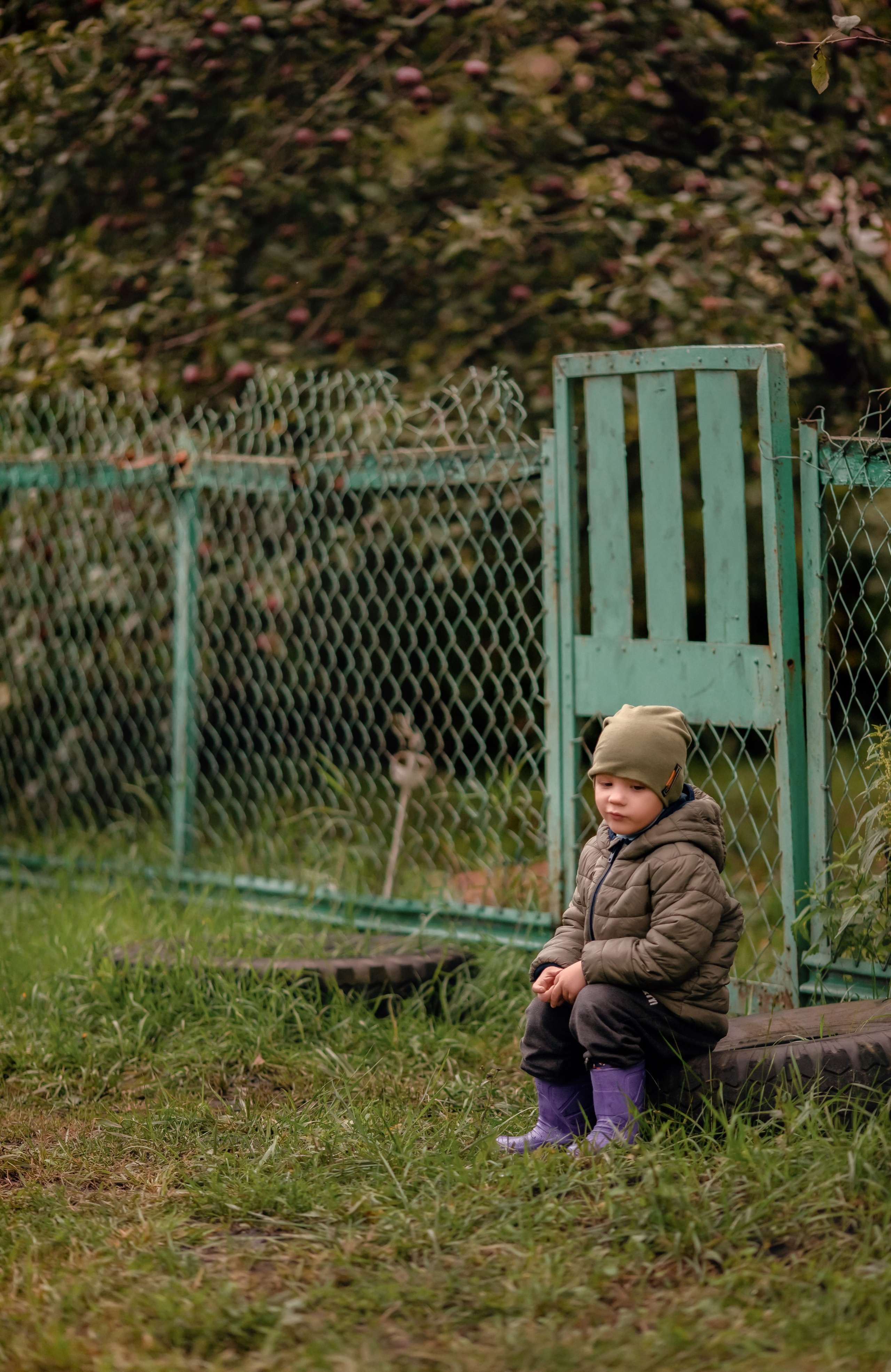 Осень в дерене. Ольга Смирнова юрист, фотограф