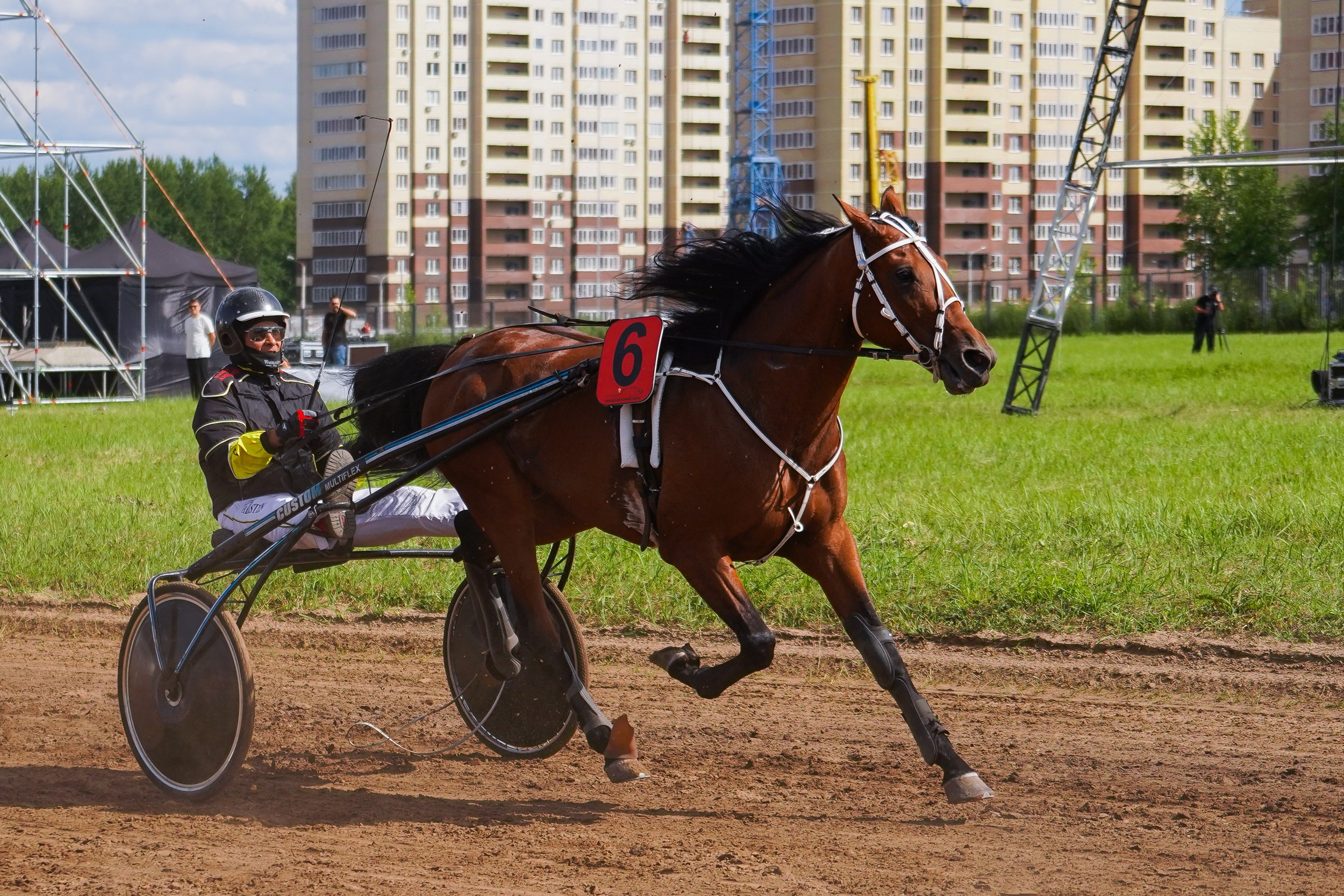 III конные бега на Кубок Главы Чувашии. Фотограф-анималист, портретный фотограф в Чебоксарах Мария Садыкова