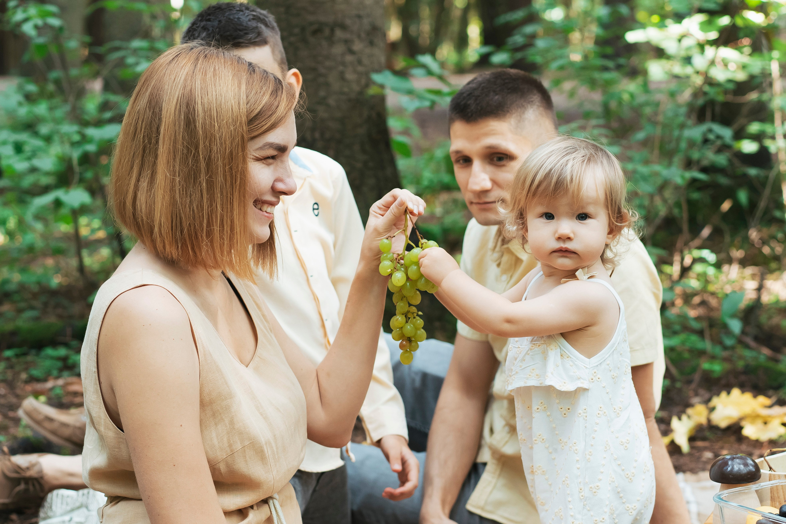 Осень в лесу. Brand photographer