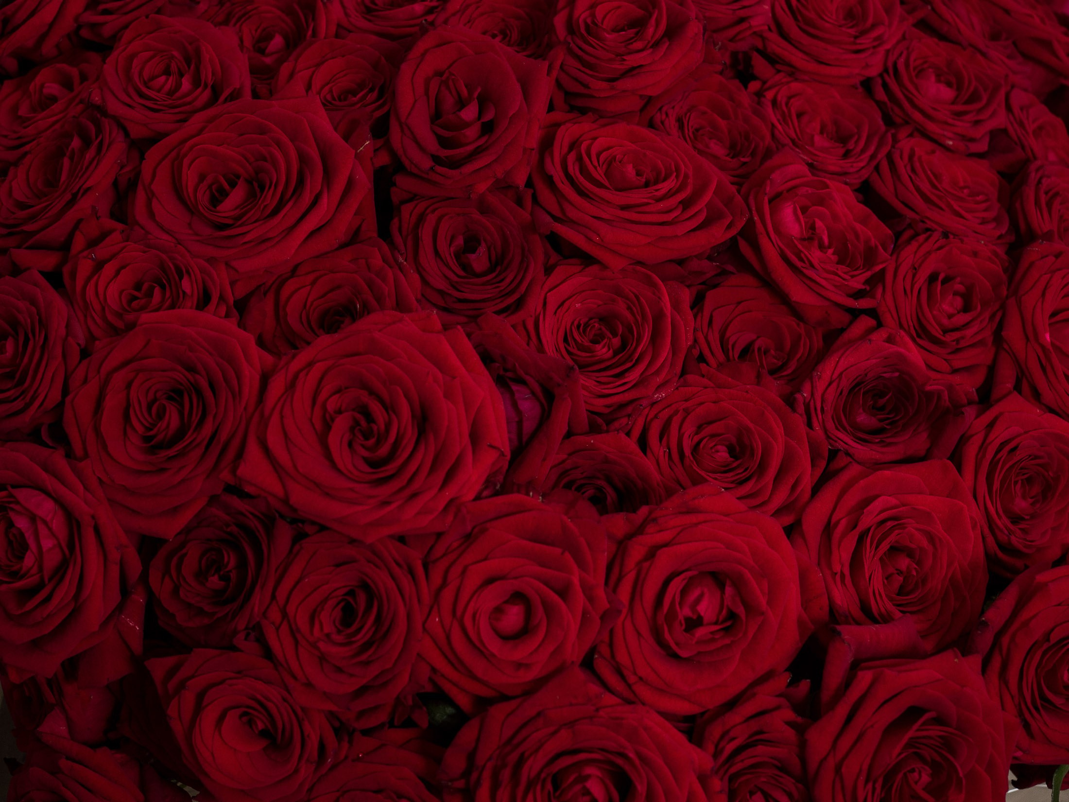 Юбилей 1. Свадебный и семейный фотограф в Екатеринбурге Вадим Малышев