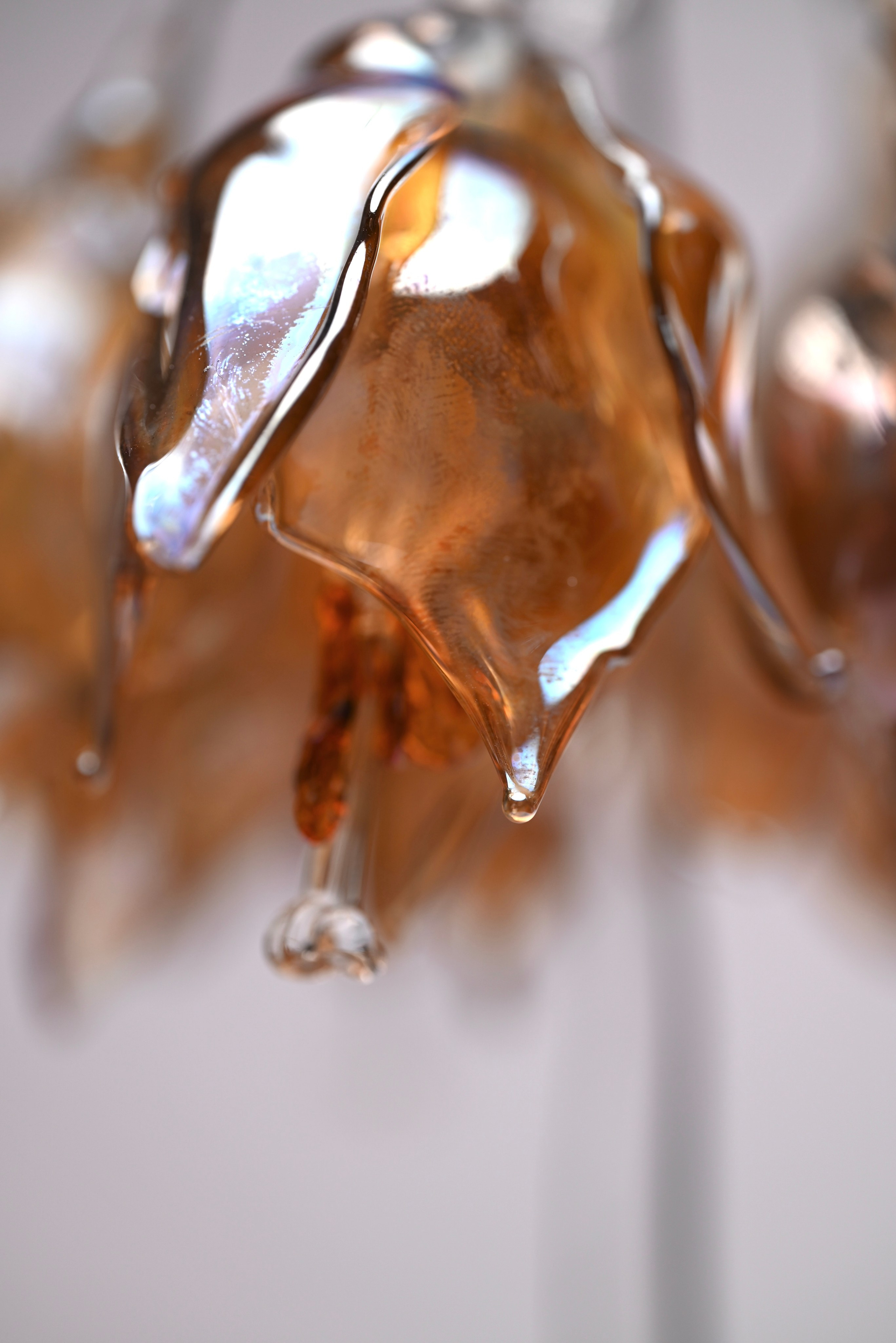 Рябчик императорский. Home