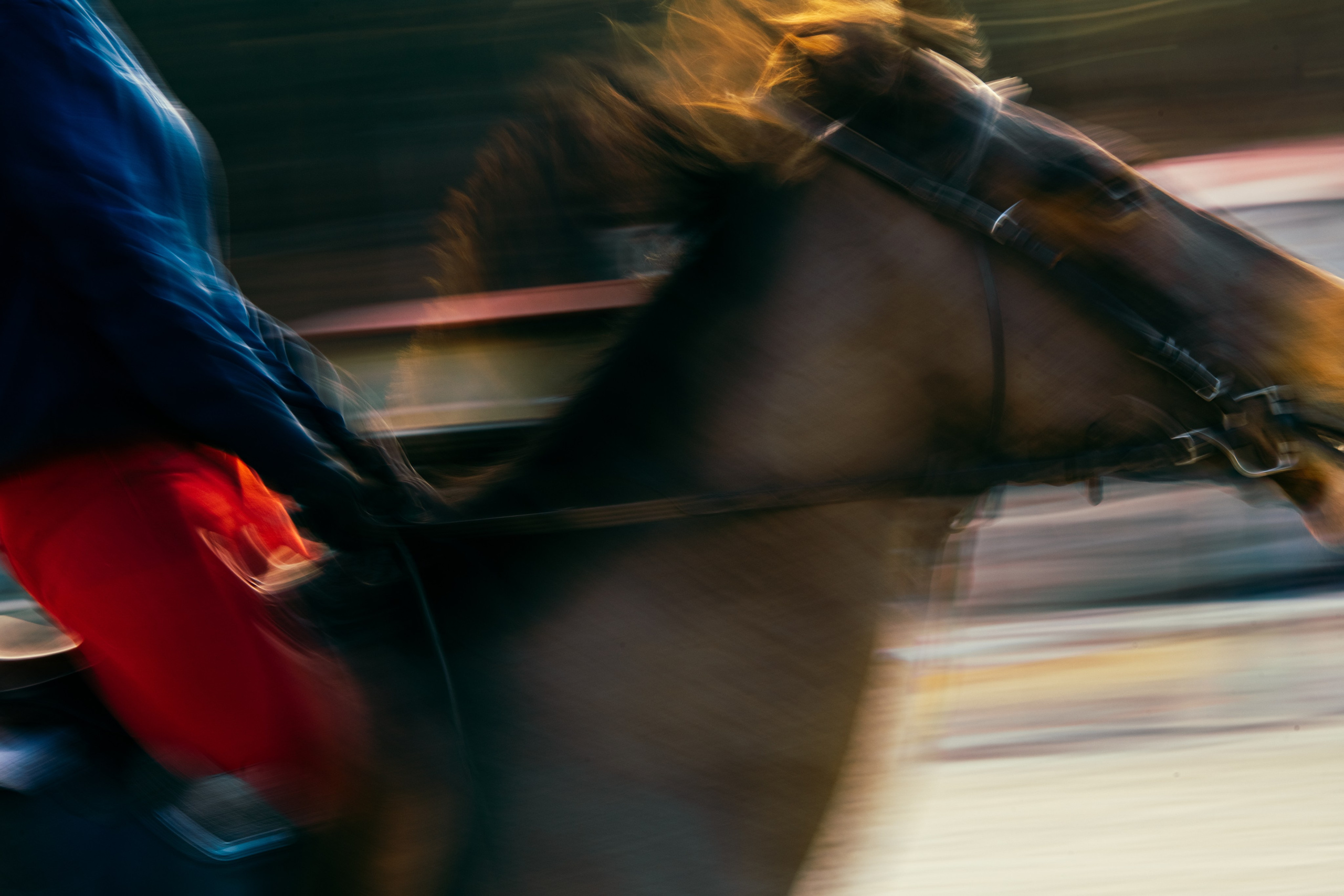 HORSES. Anastasiia Antoniuk portrait, family and couple photographer, Portugal