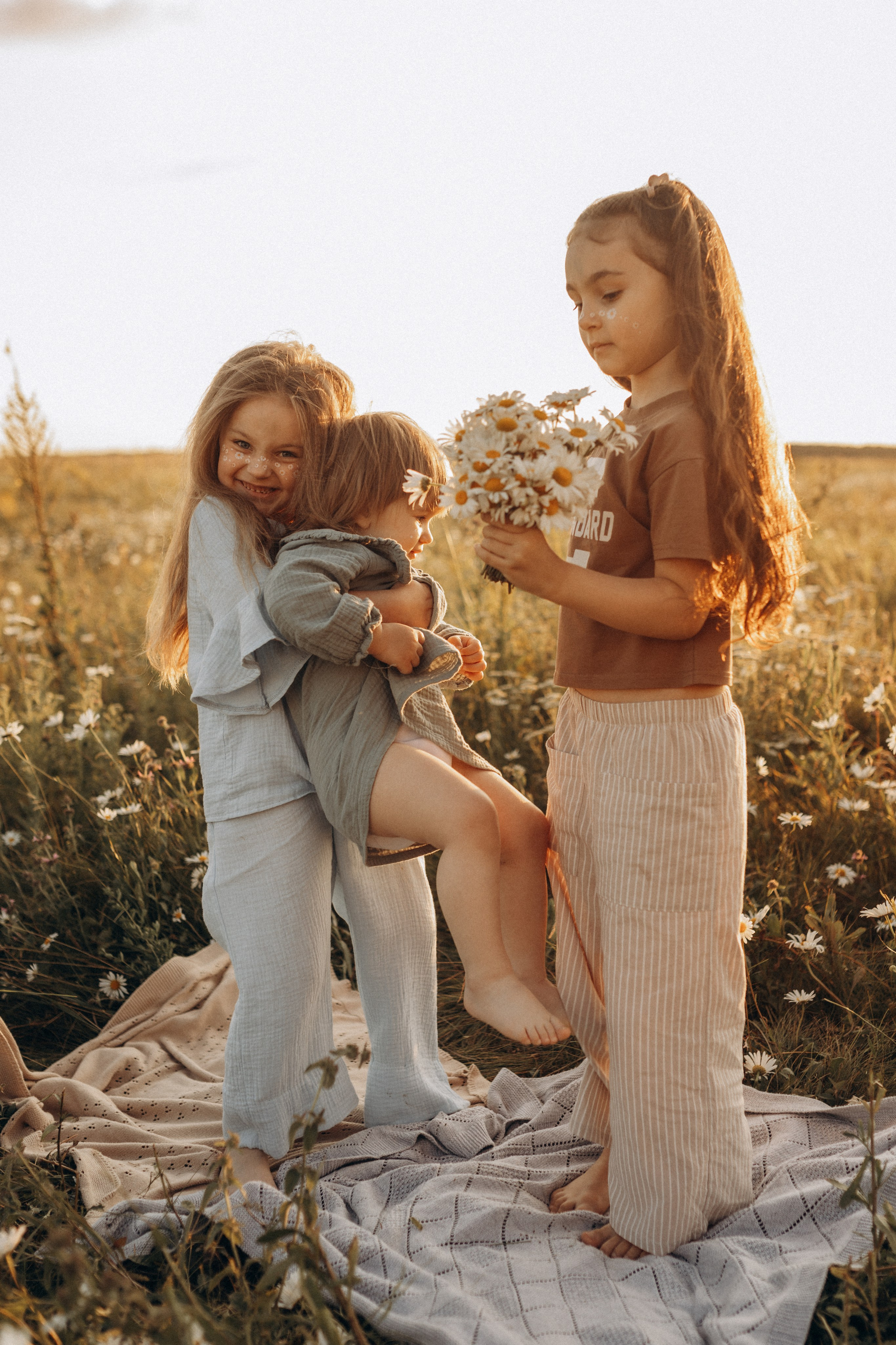 Закат на ромашковом поле. Фотограф в Ставрополе Svetlana Matveeva