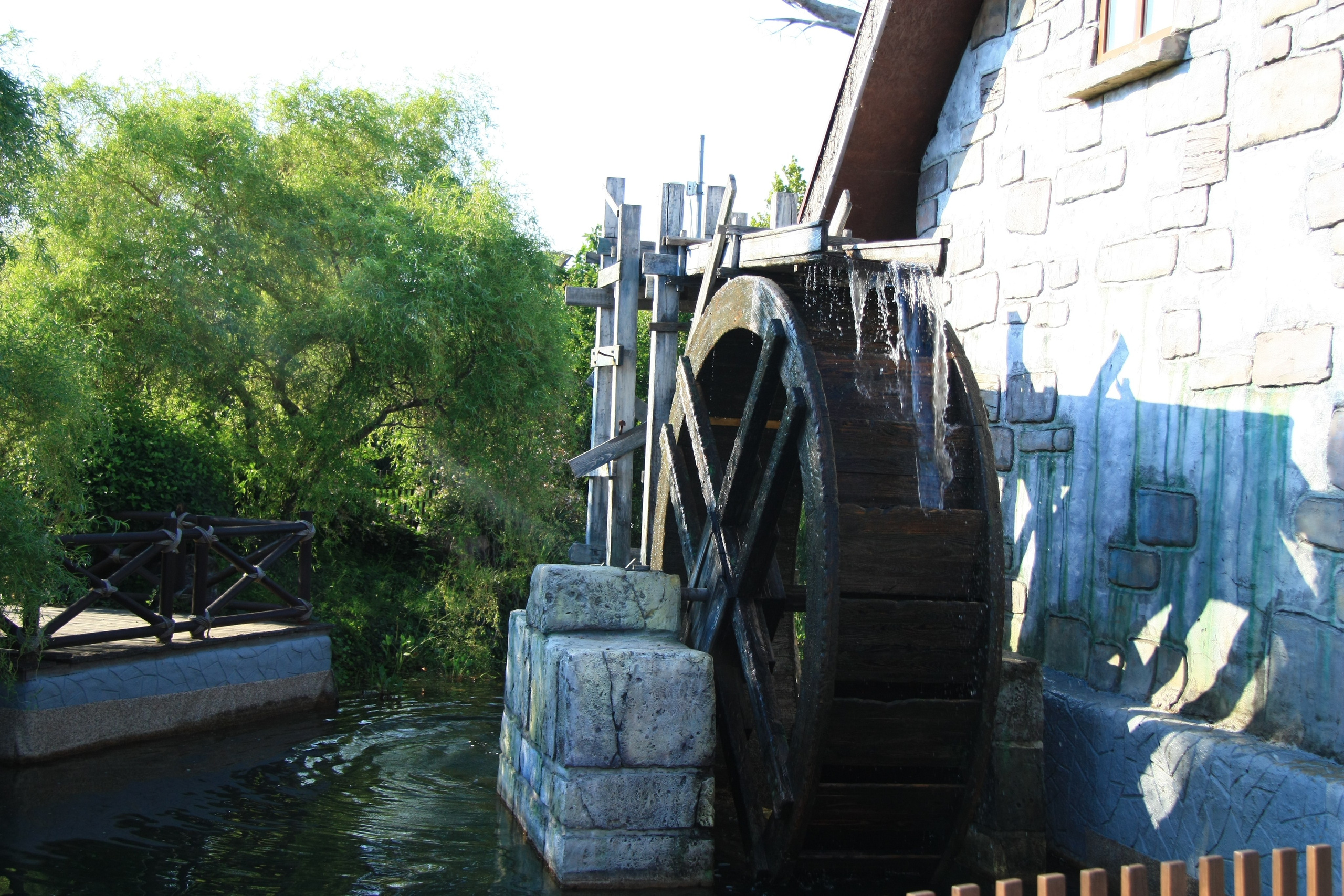 Первые кадры. Сочи — парк. Фотограф Роман Адлер