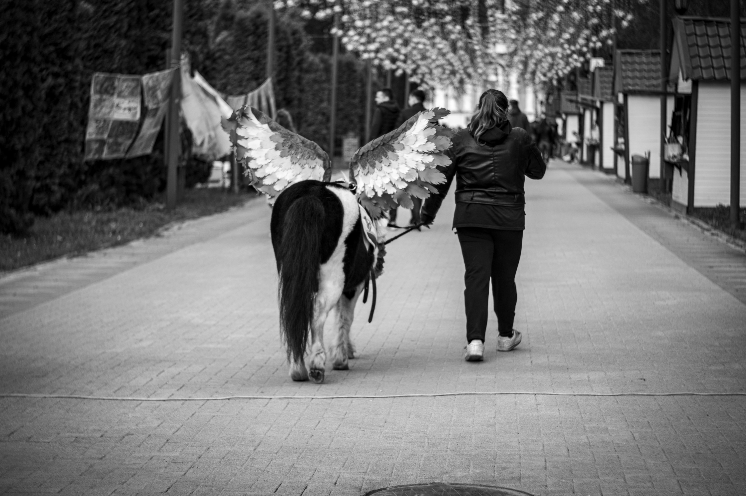 Рязань. Май 2022. Фотограф Роман Адлер