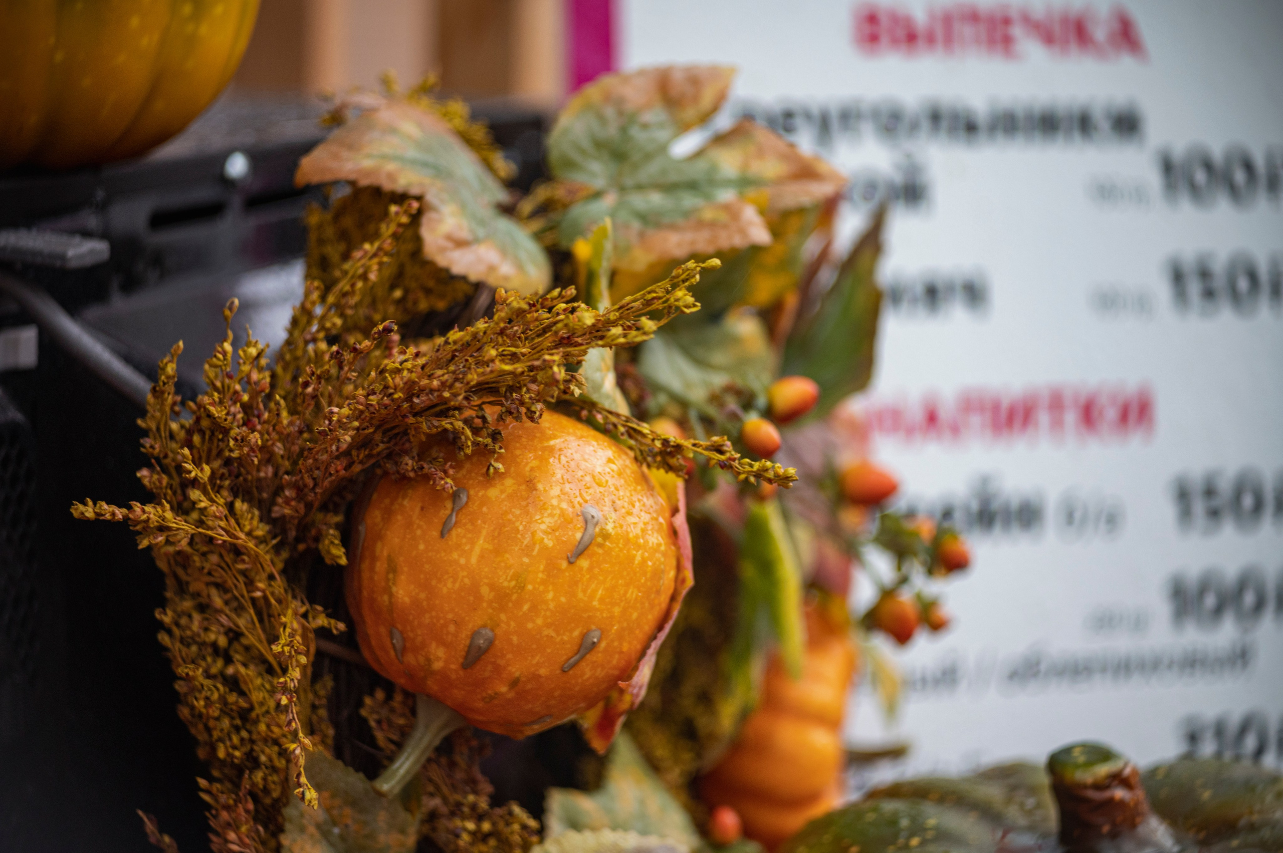 Казань. Сентябрь 2022. Фотограф Роман Адлер