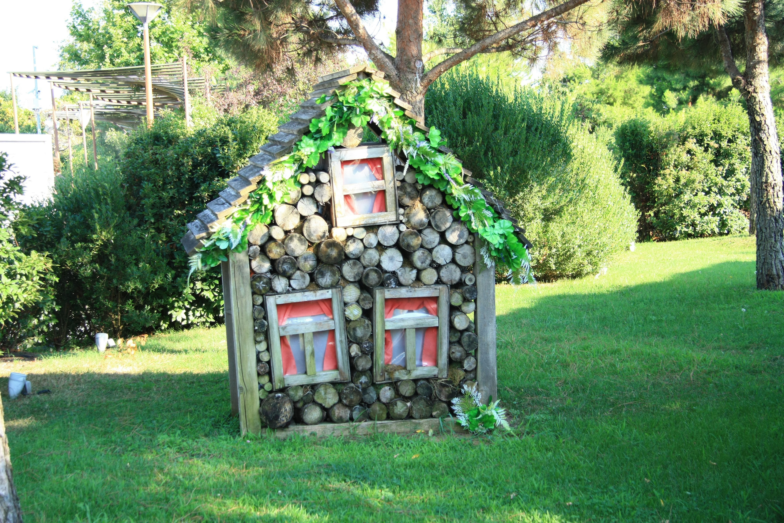 Первые кадры. Сочи — парк. Фотограф Роман Адлер