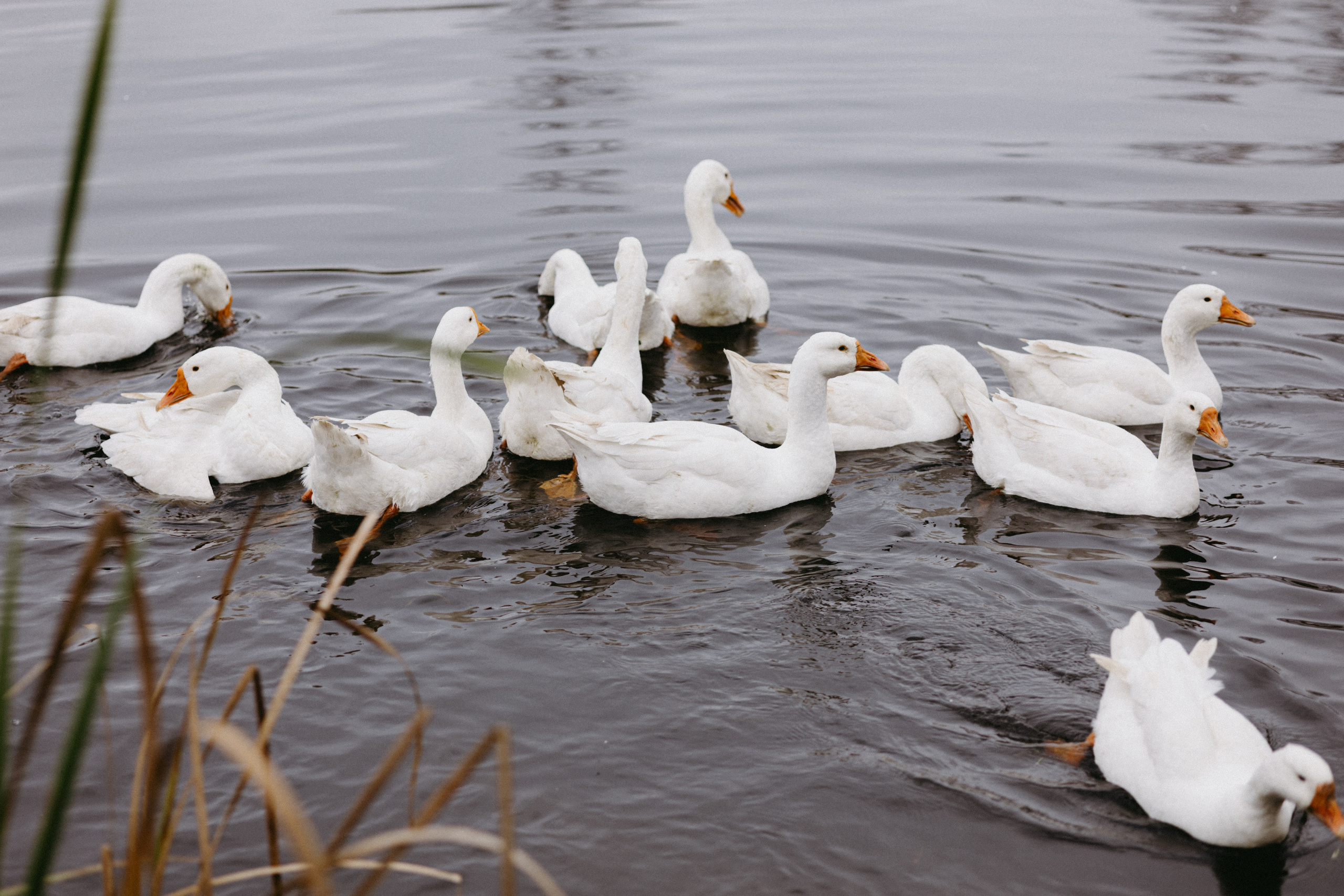 Новые земли. Про любовь