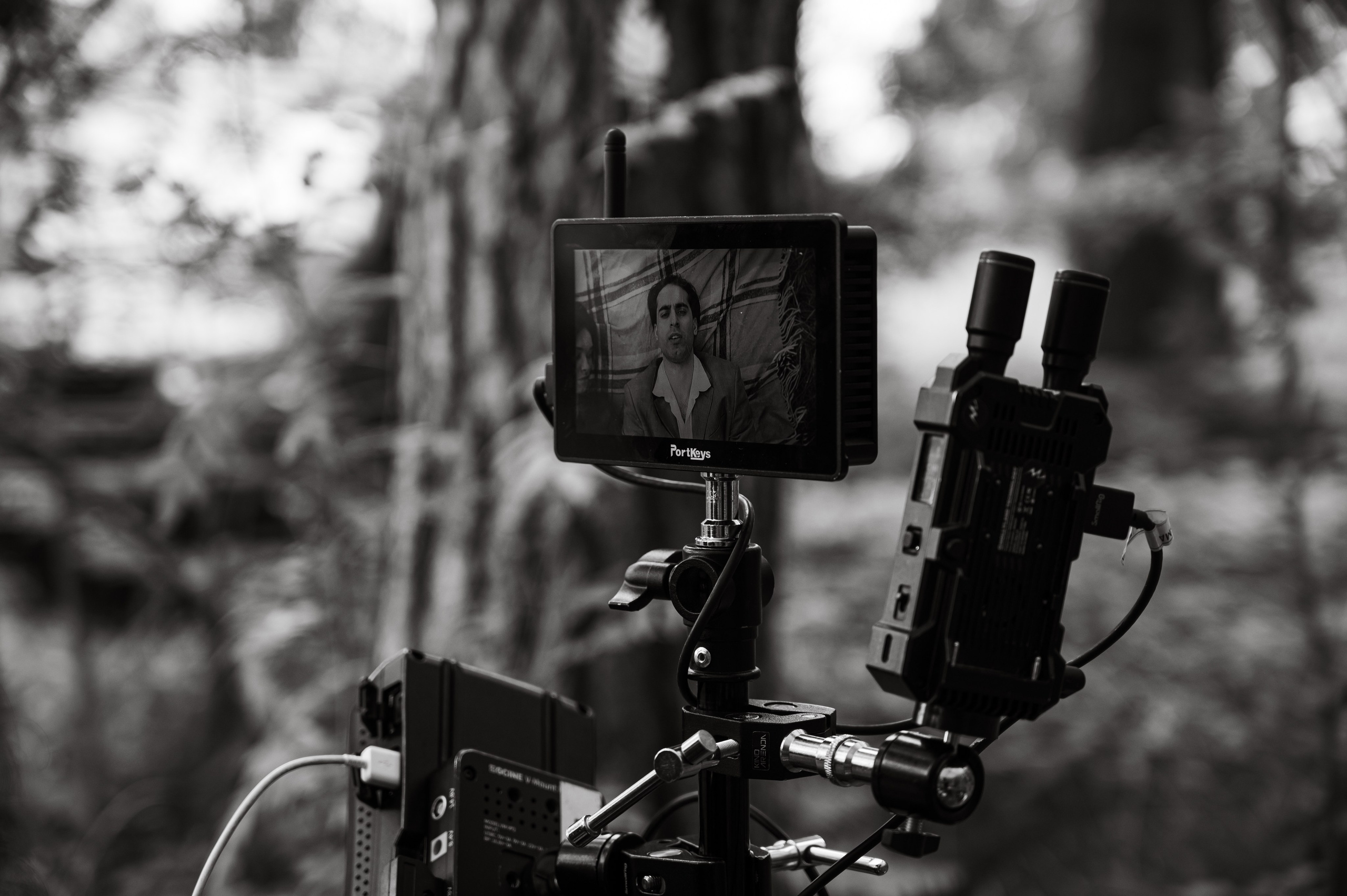 Пикник. Фотограф Мария