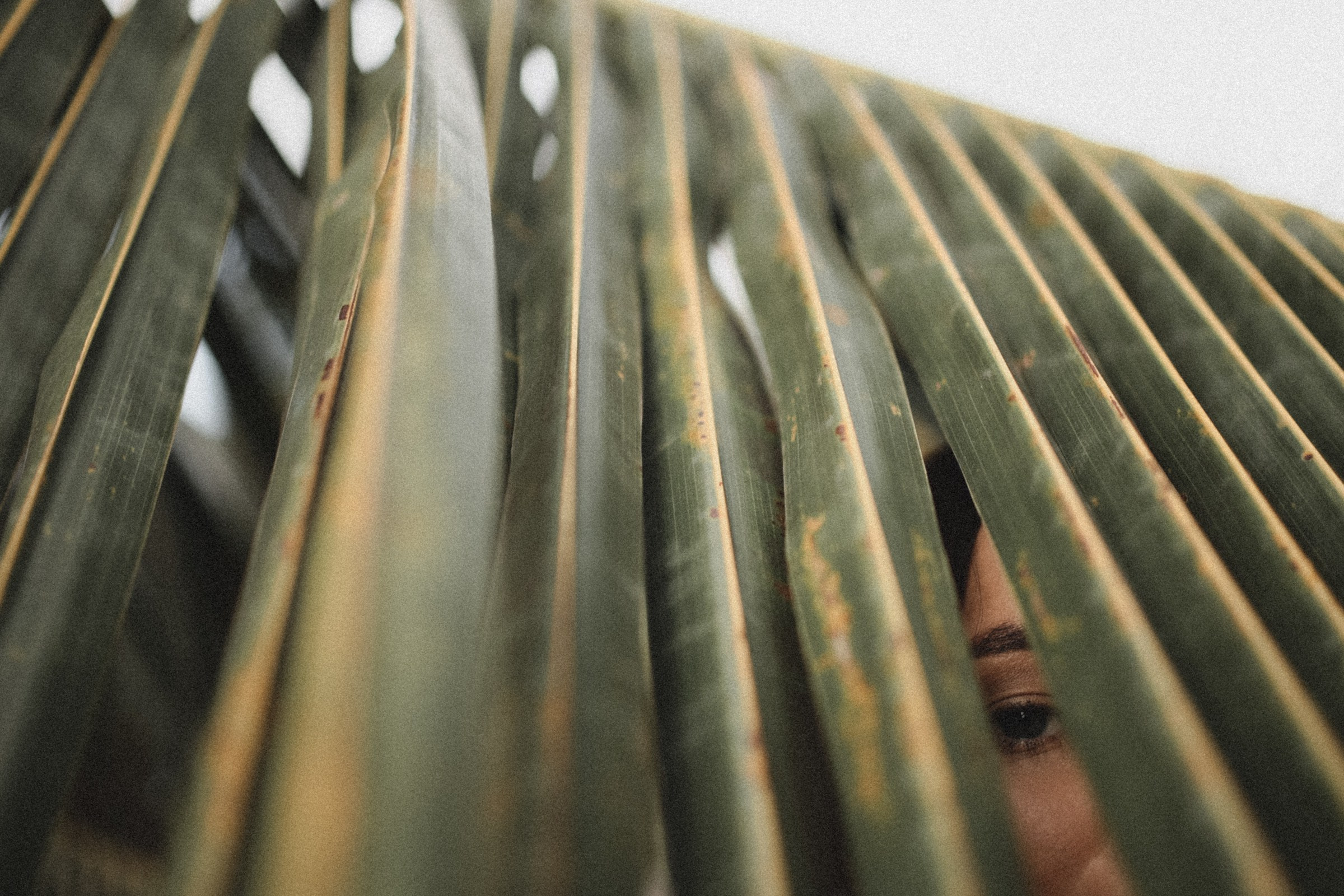 Каменный город. Свадебный и семейный фотограф Москва, Спб, Крым Игорь Сазонов