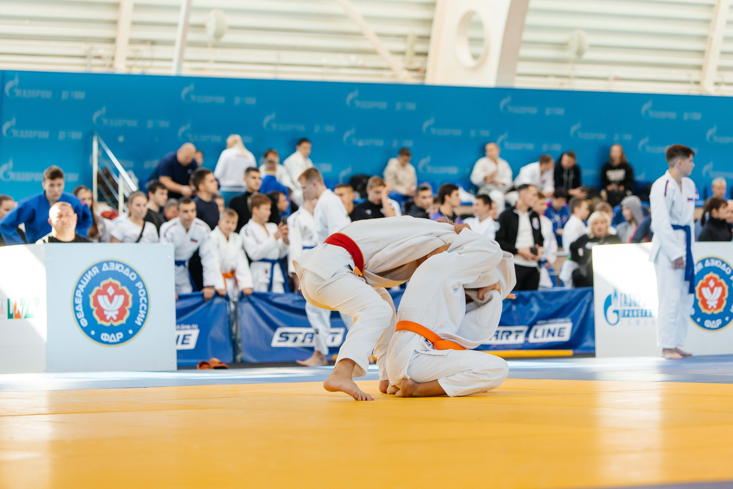 Всероссийские соревнования по Дзюдо. _Carpe diem_