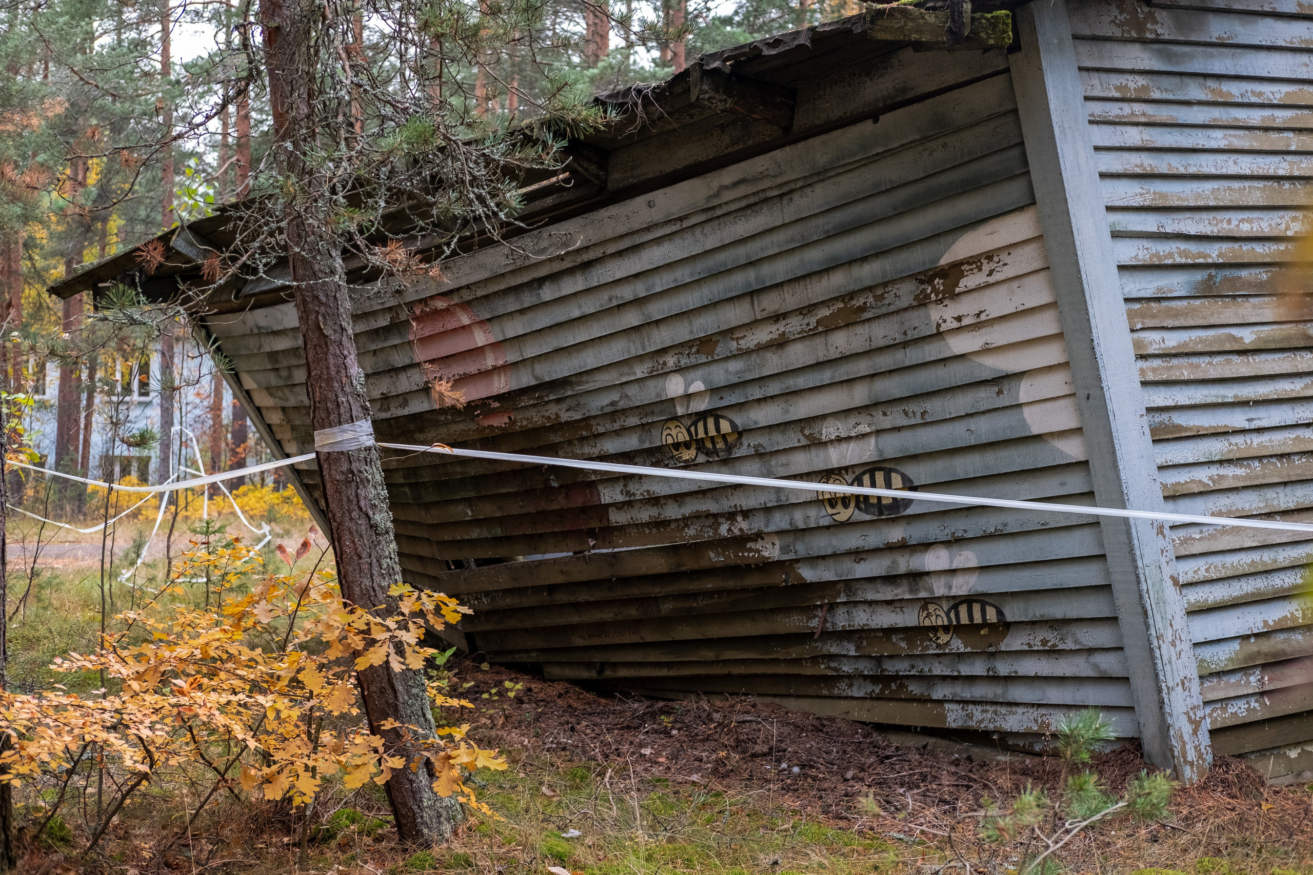 Пионерлагеря. Курочкина Софья