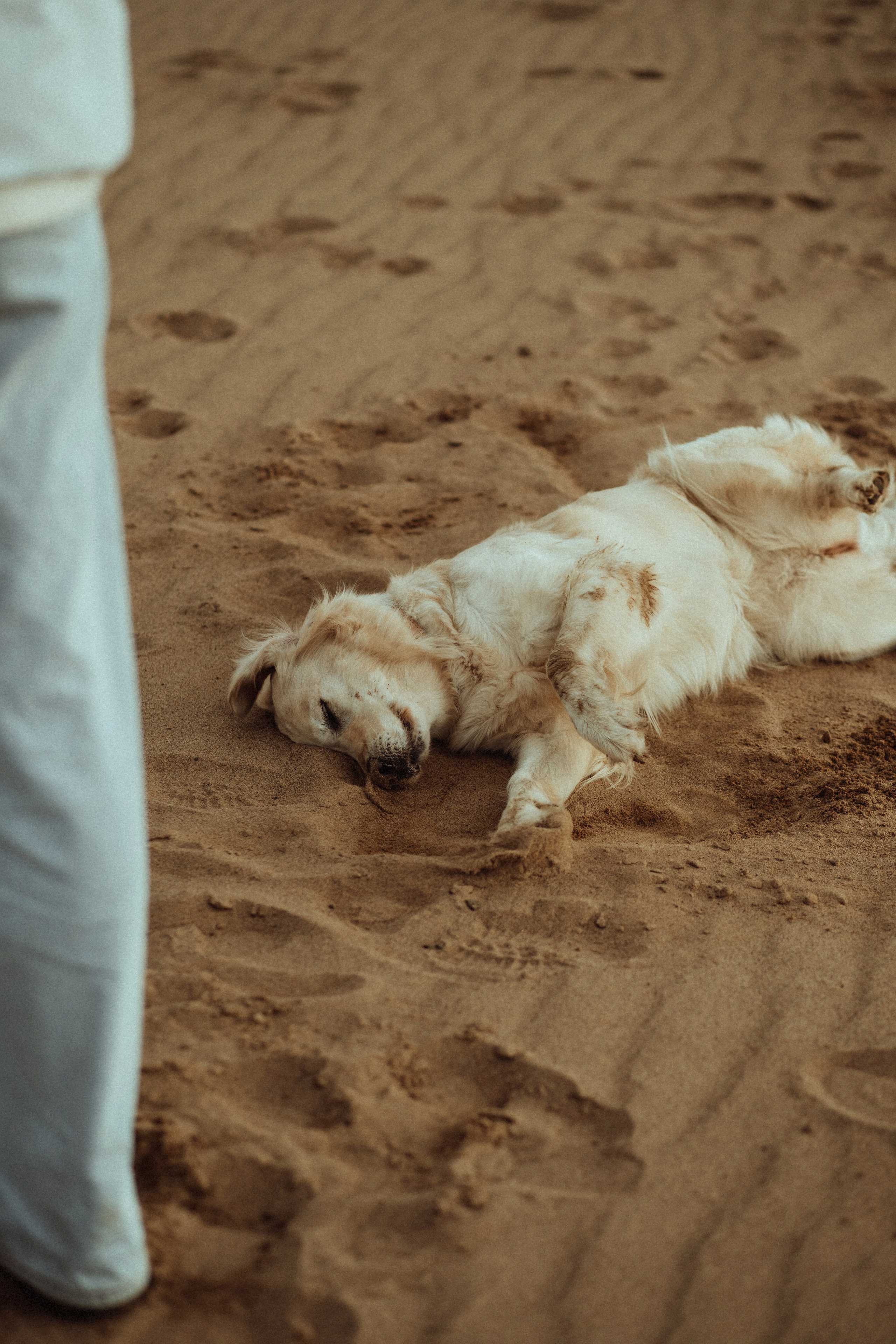 В объятьях Феи