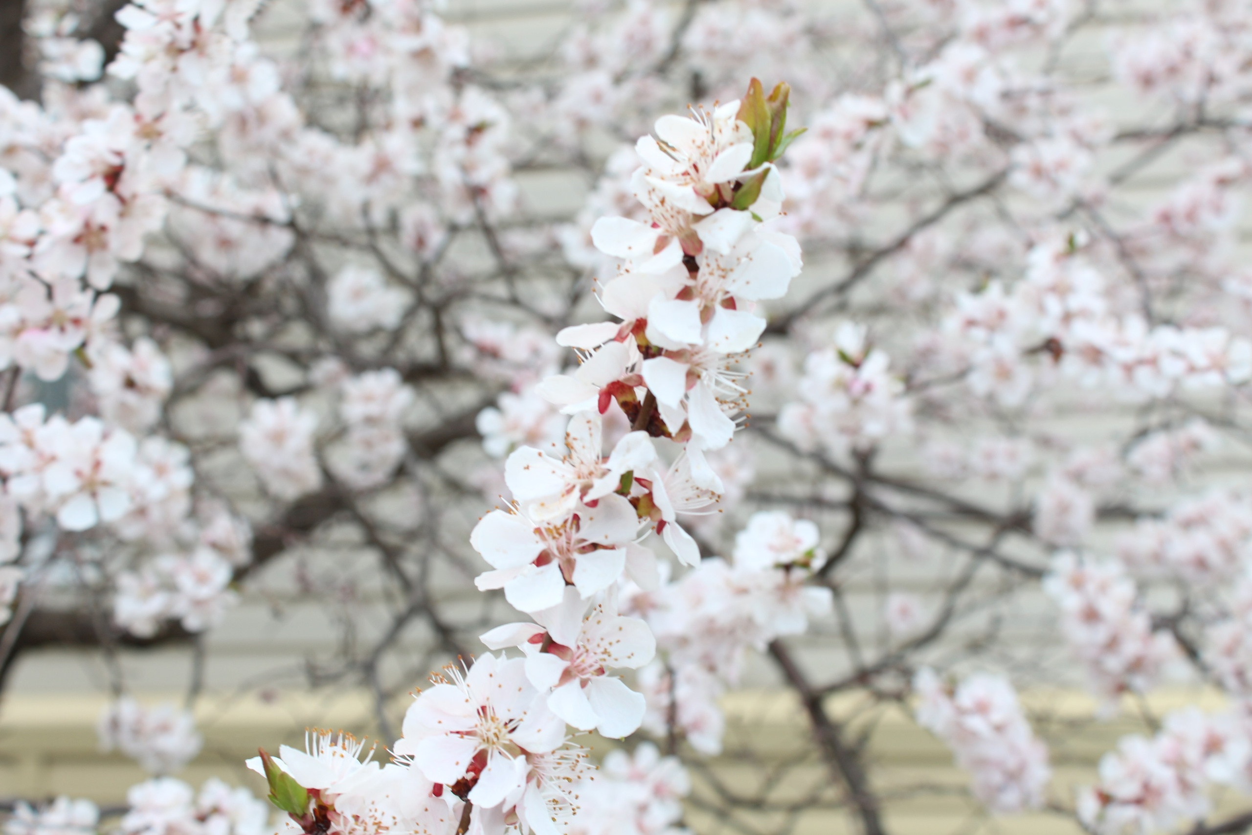 Отзывы. Фотограф в Астрахани Юлия Мирзаева