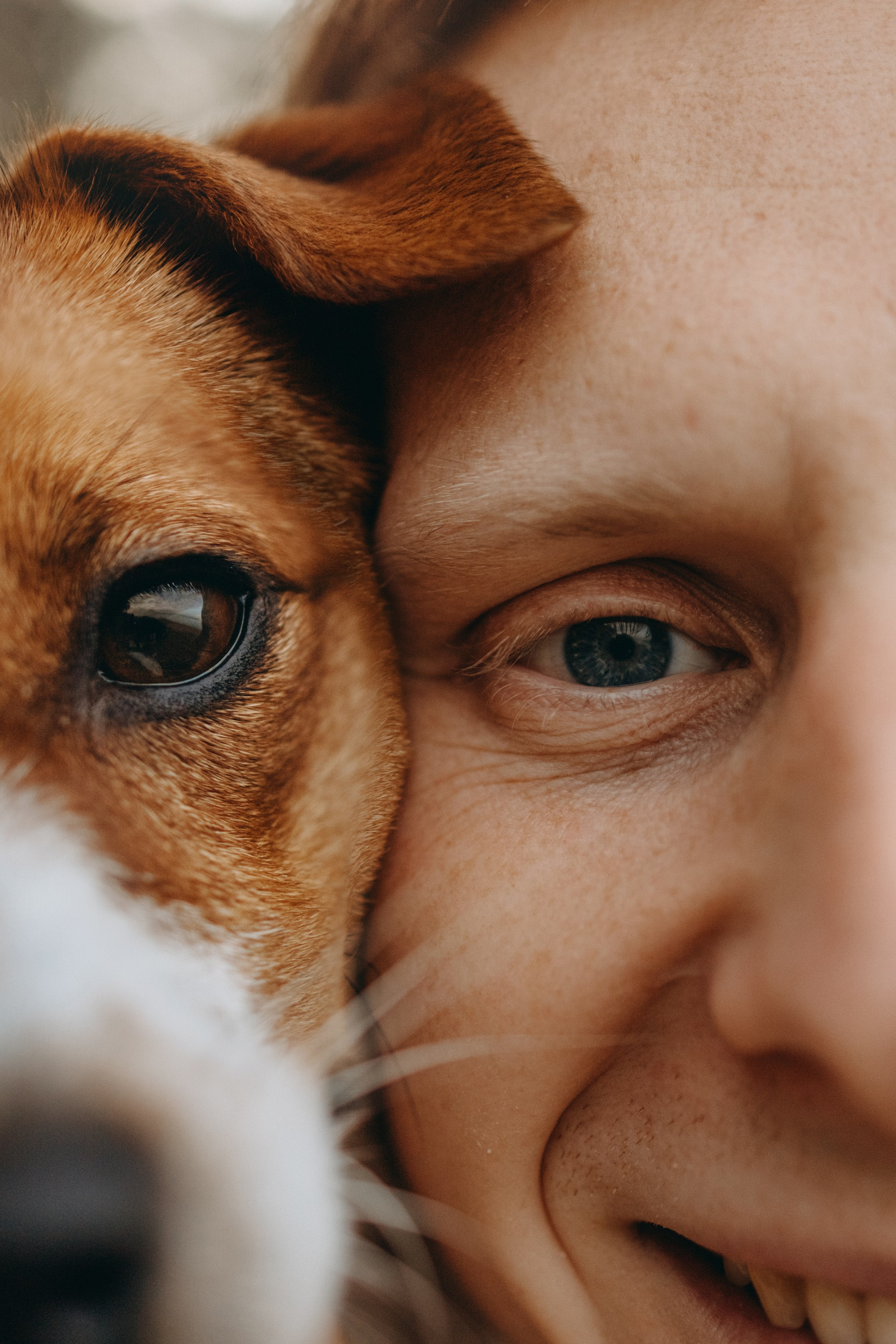 Лея и ее семья. Фотограф — Анималист | Санкт-Петербург