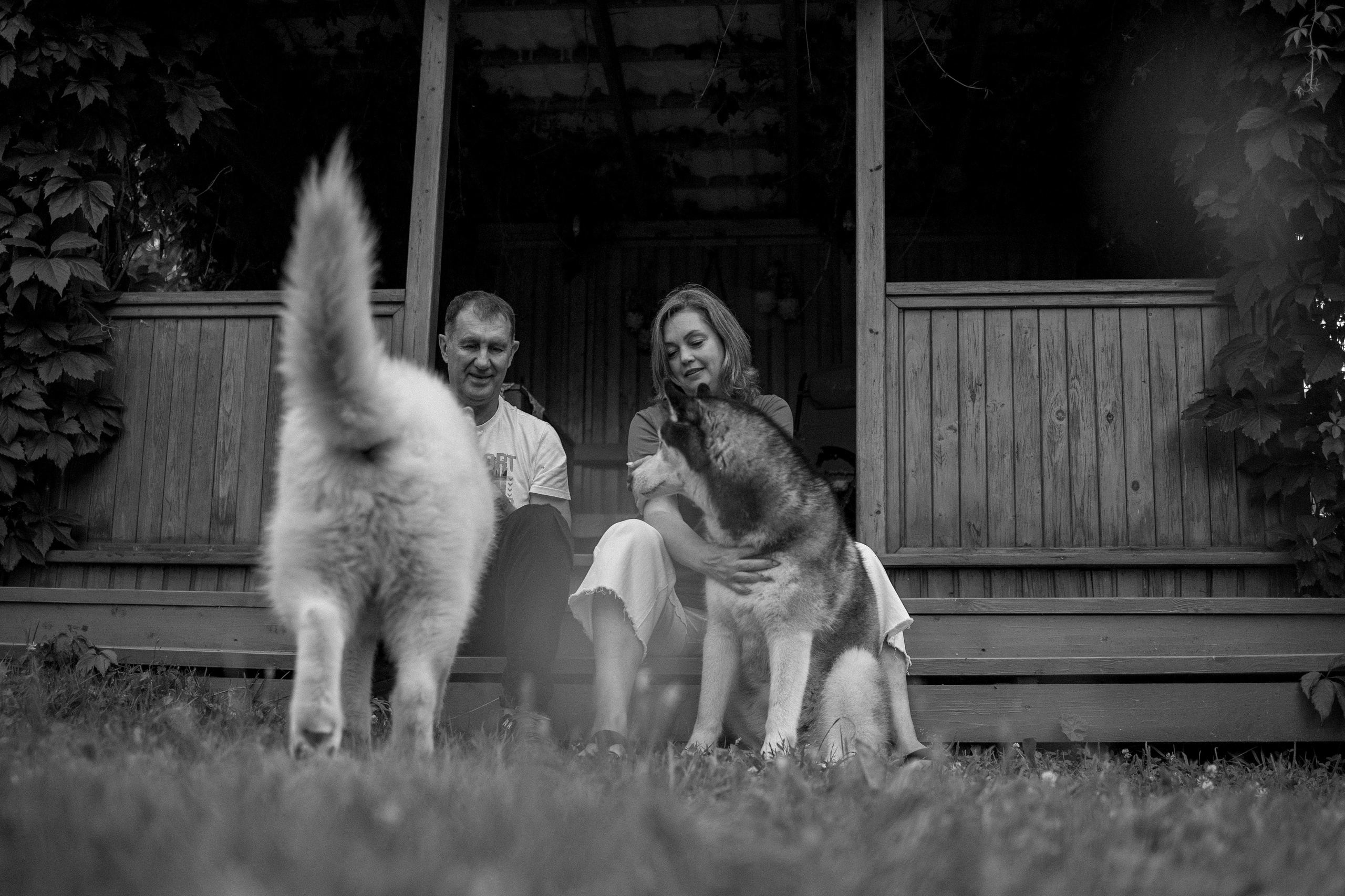 Дом у реки. Фотограф — Анималист | Санкт-Петербург