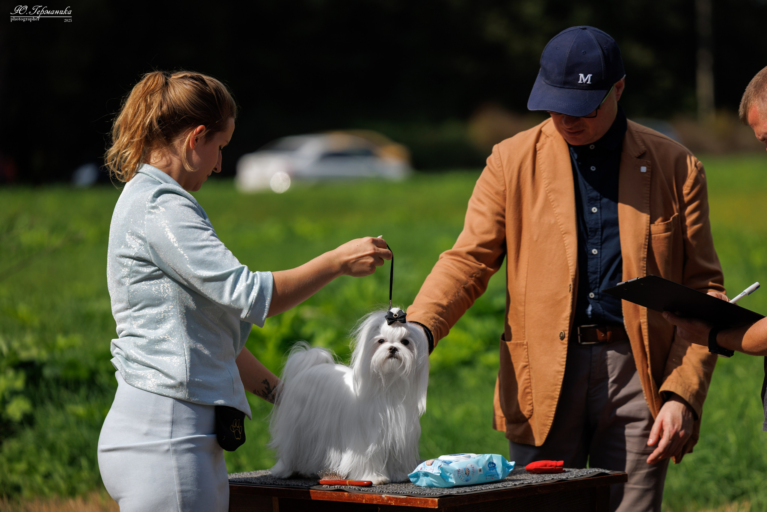 Тверь 10.08.2025. Фотограф-анималист Юлия Германика