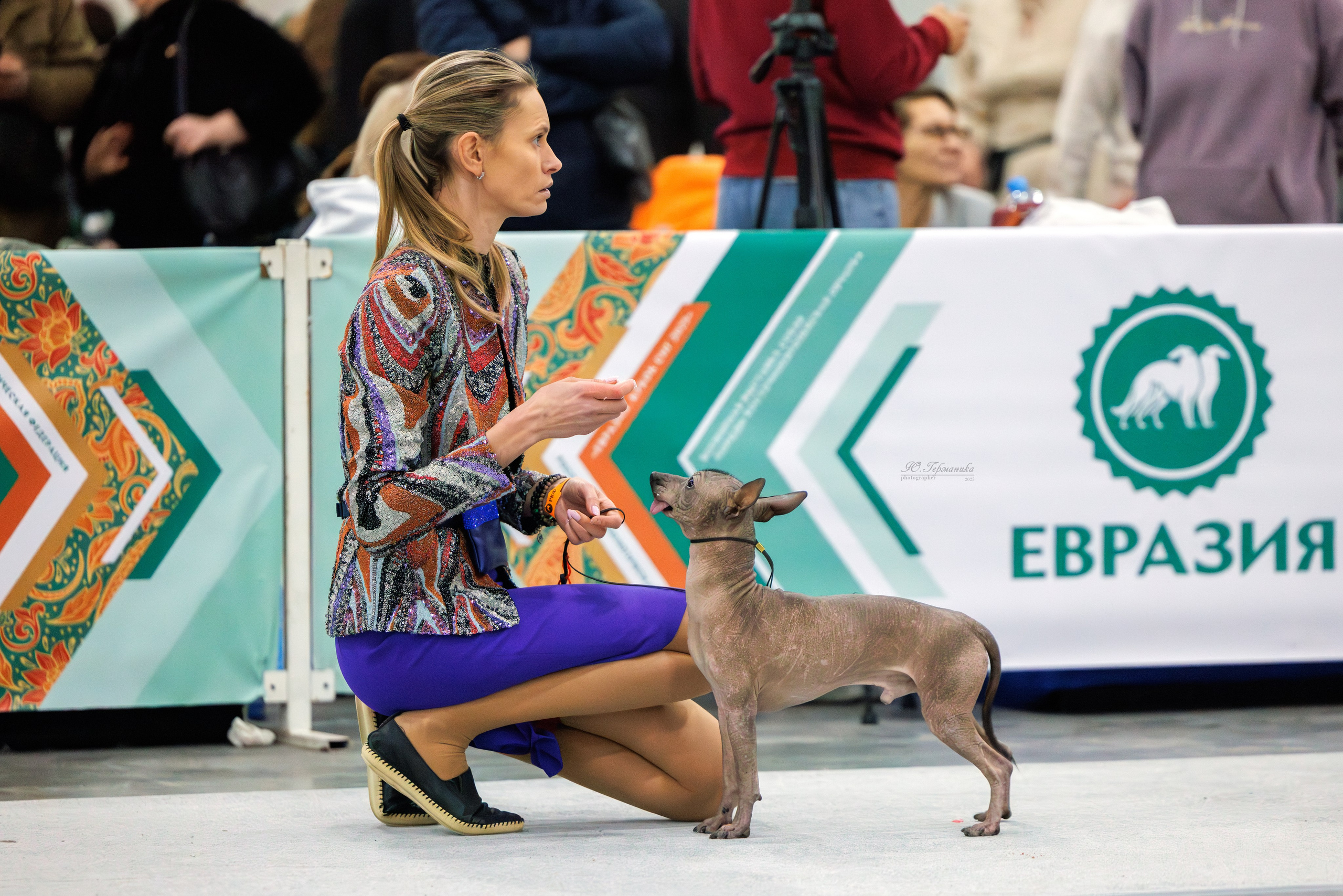 Евразия 15-16.11.2025. Фотограф-анималист Юлия Германика