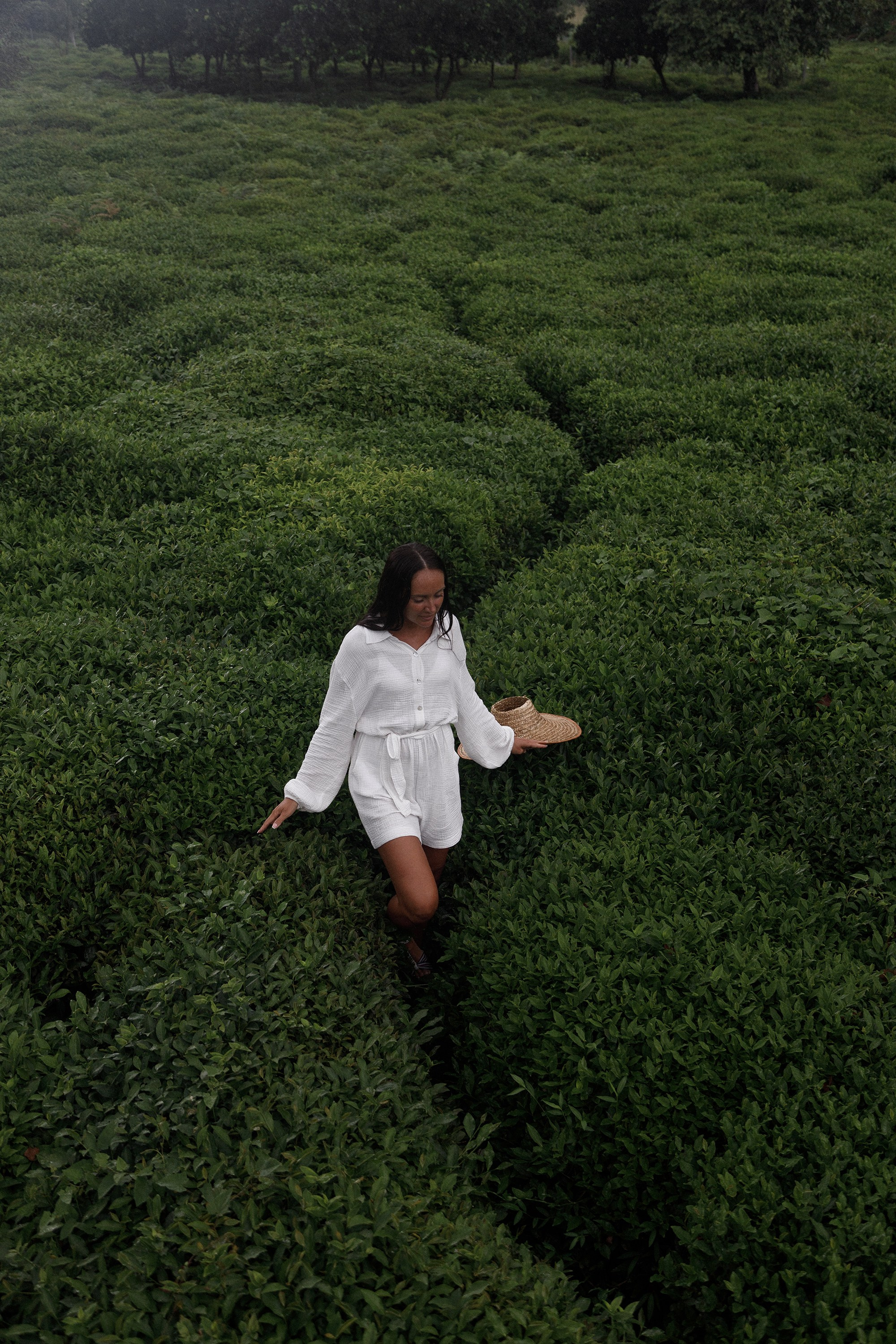 Фотосессия в чайных плантациях