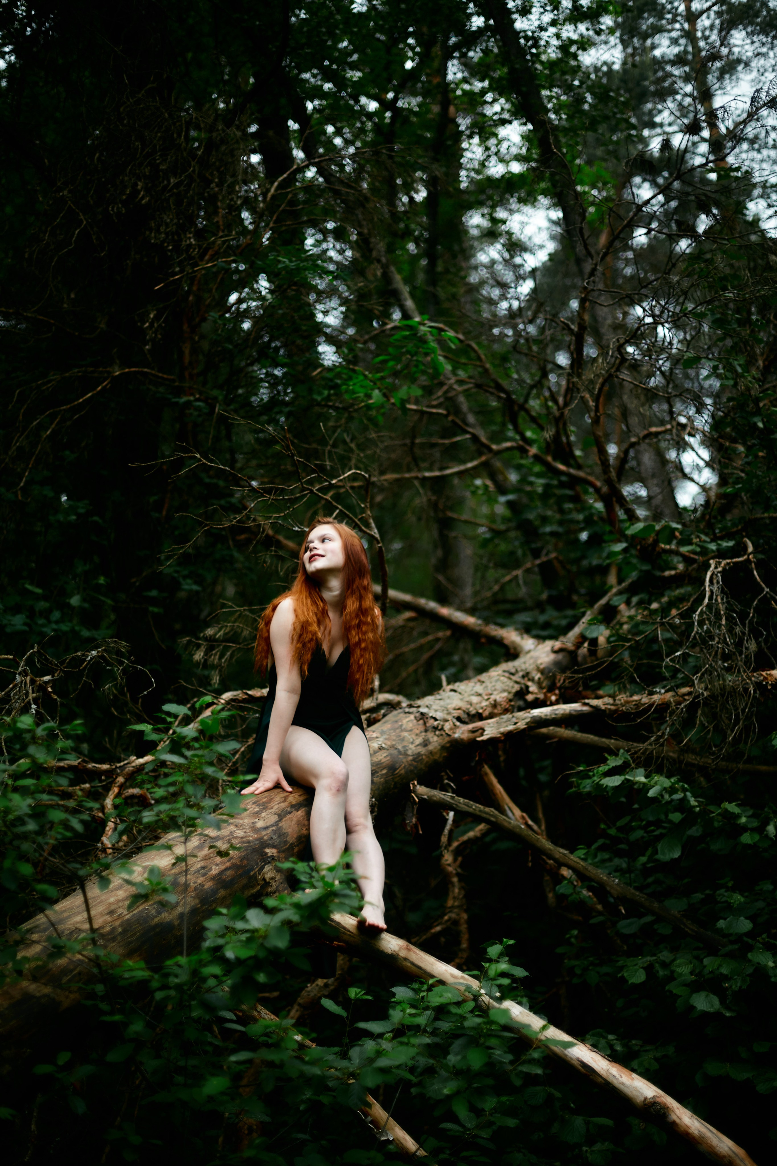 Savanna