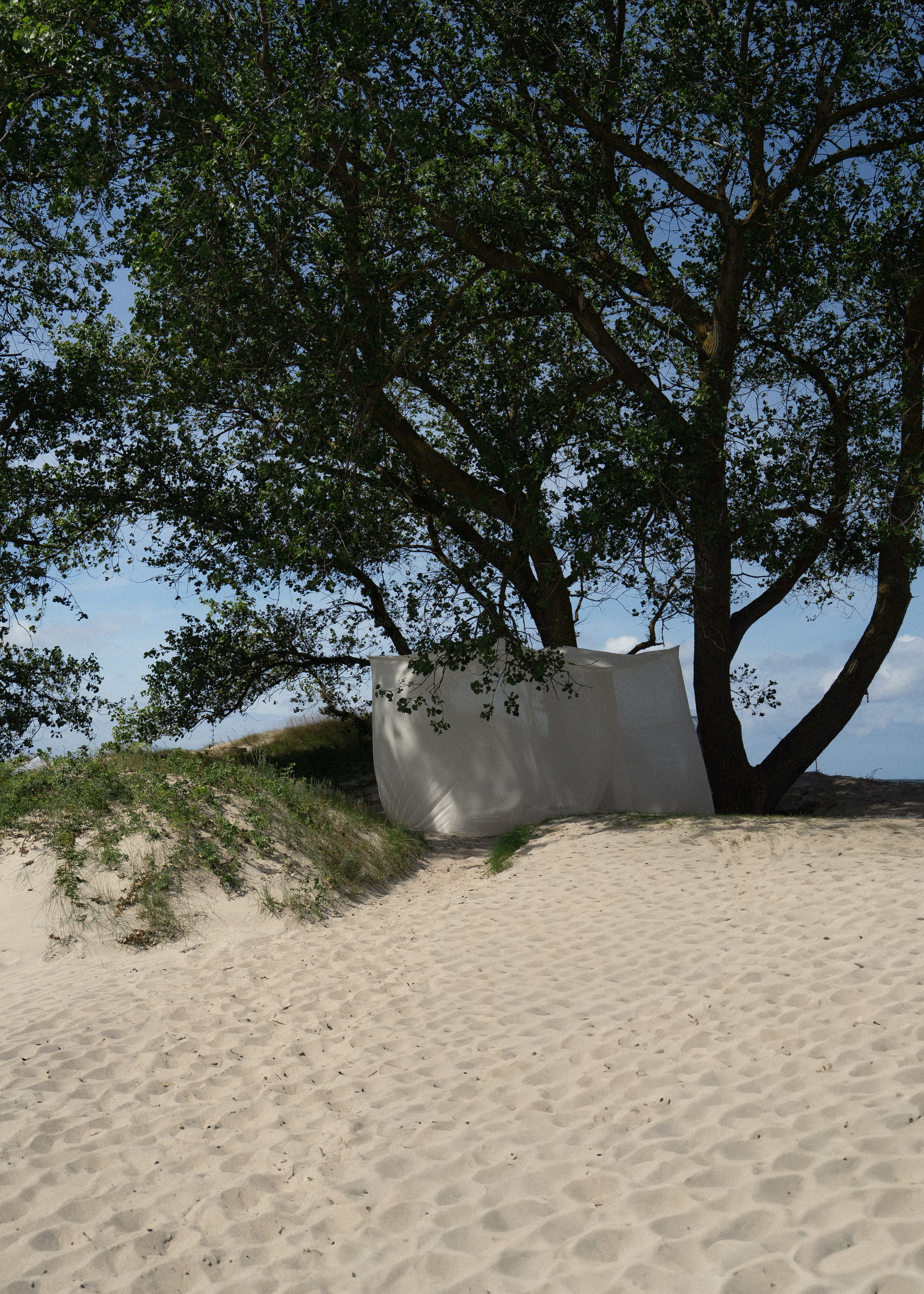 SUN & LOVE DISTRICT. Фотограф Злата Смирнова