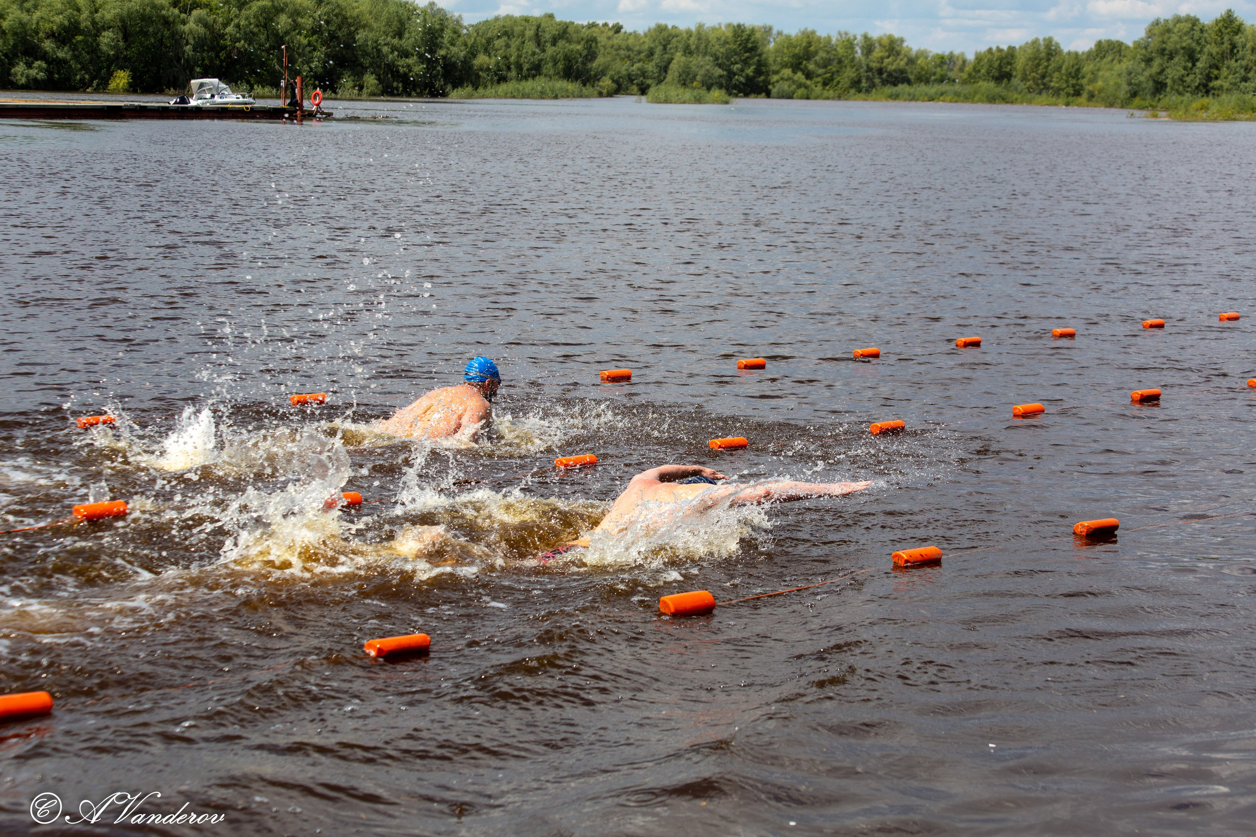 Заплыв 02.06.2024. Фотограф Омск | Александр Вандеров