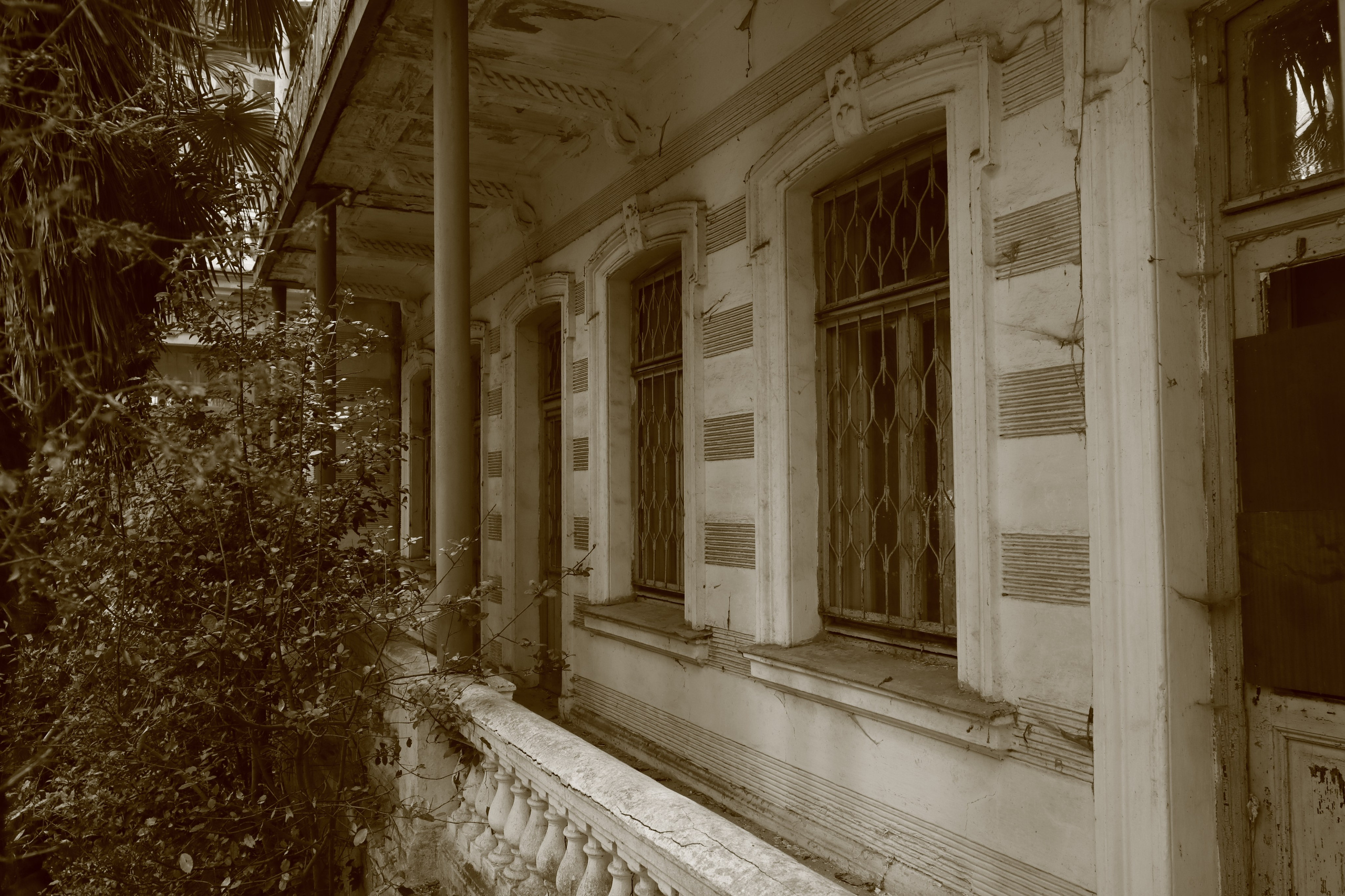 Крым. ЮБК (Севастополь, Кастрополь, Ялта). Май 2023. Путешественник-фотограф из Санкт-Петербурга Татьяна Свистулина