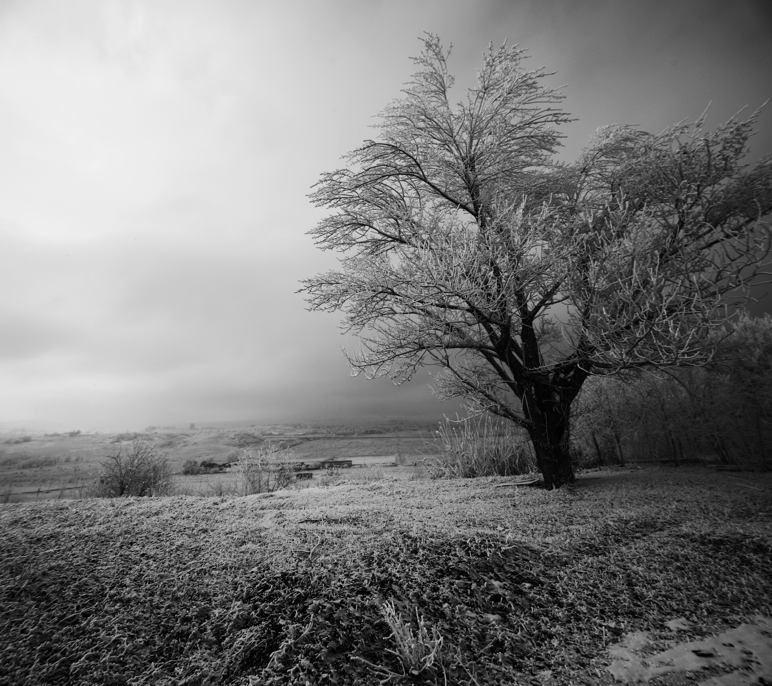 — посозерцать. Фотограф Кочкаев Роман