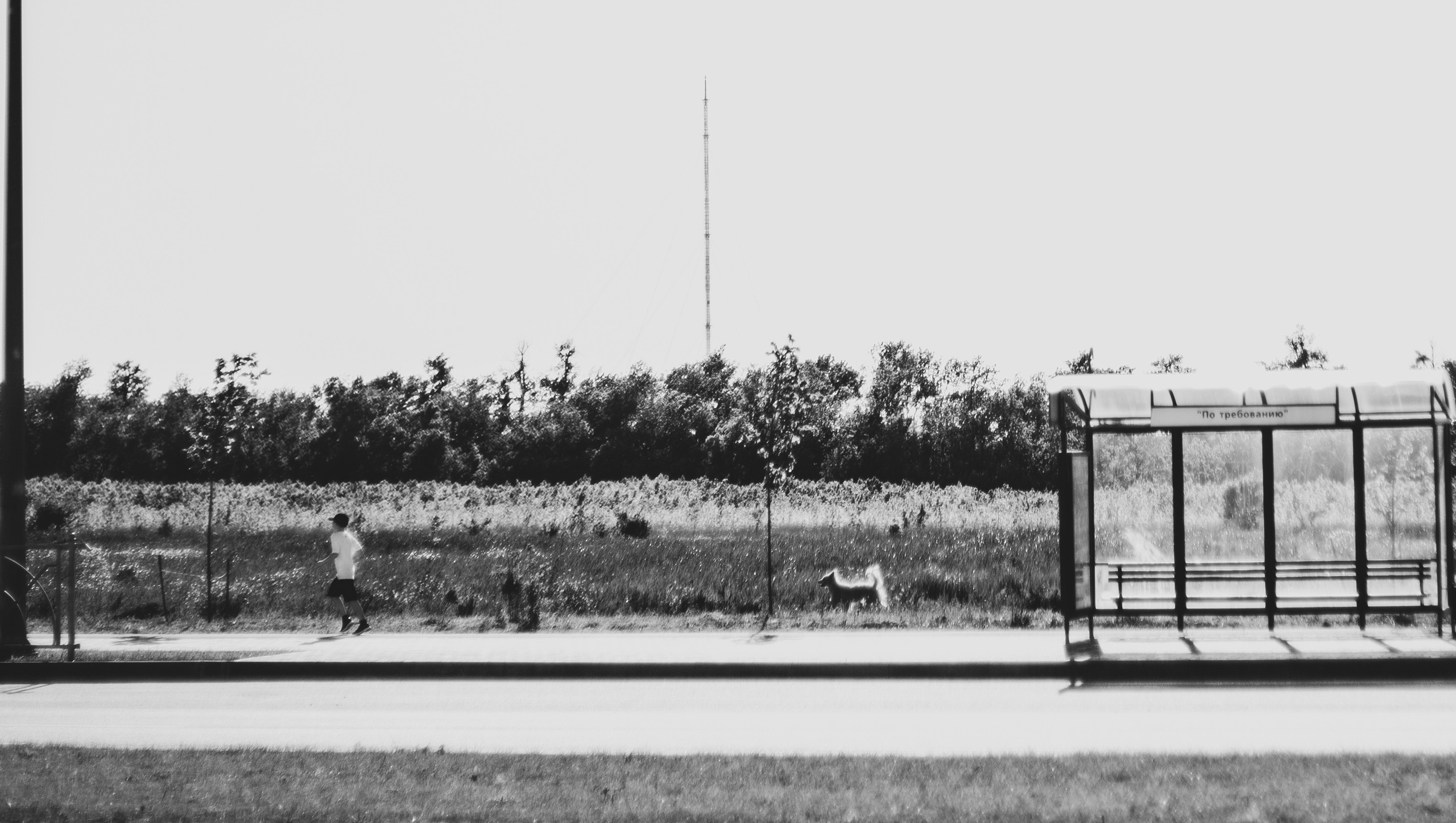 — то что нравится. Фотограф Кочкаев Роман