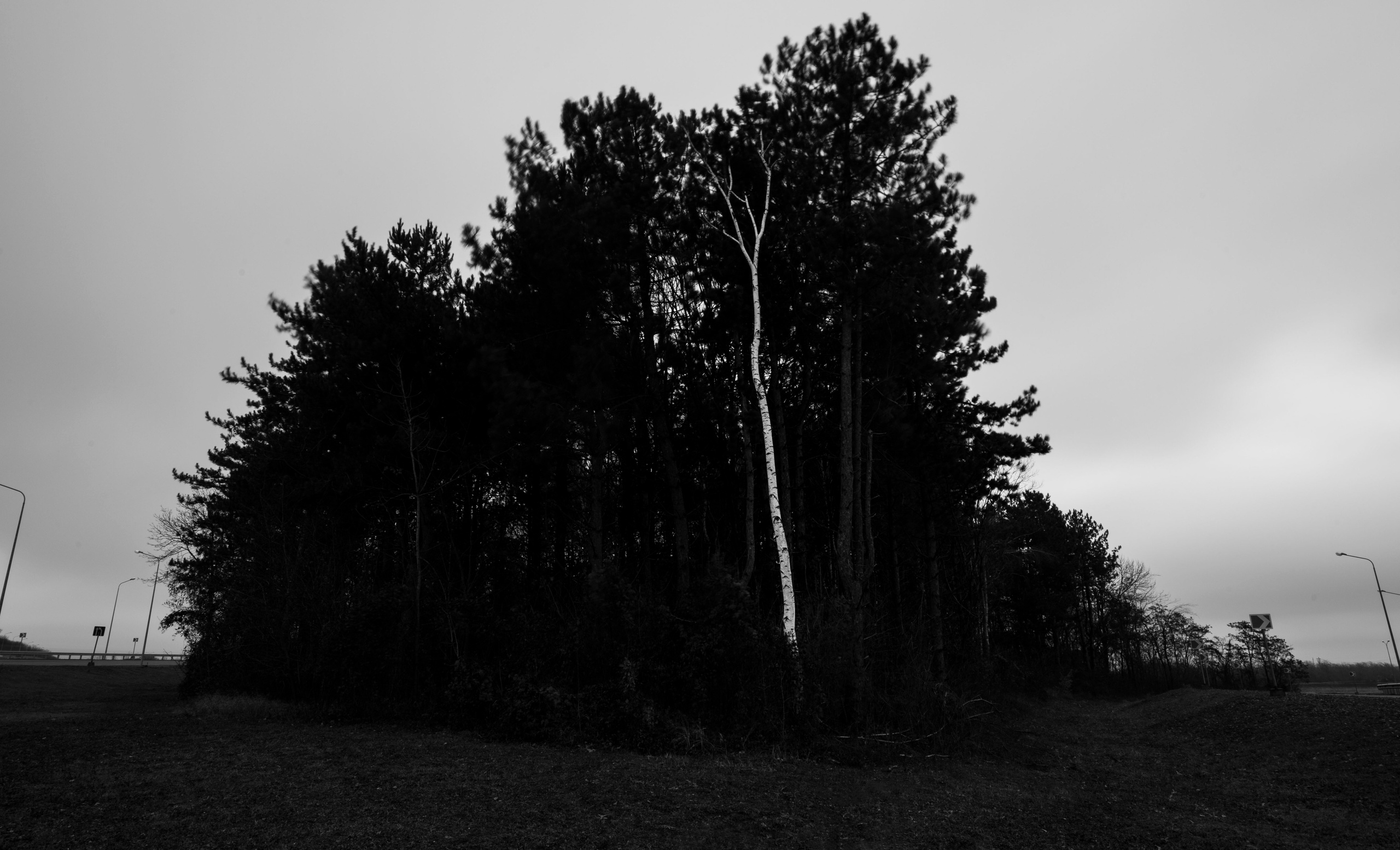 — посозерцать. Фотограф Кочкаев Роман