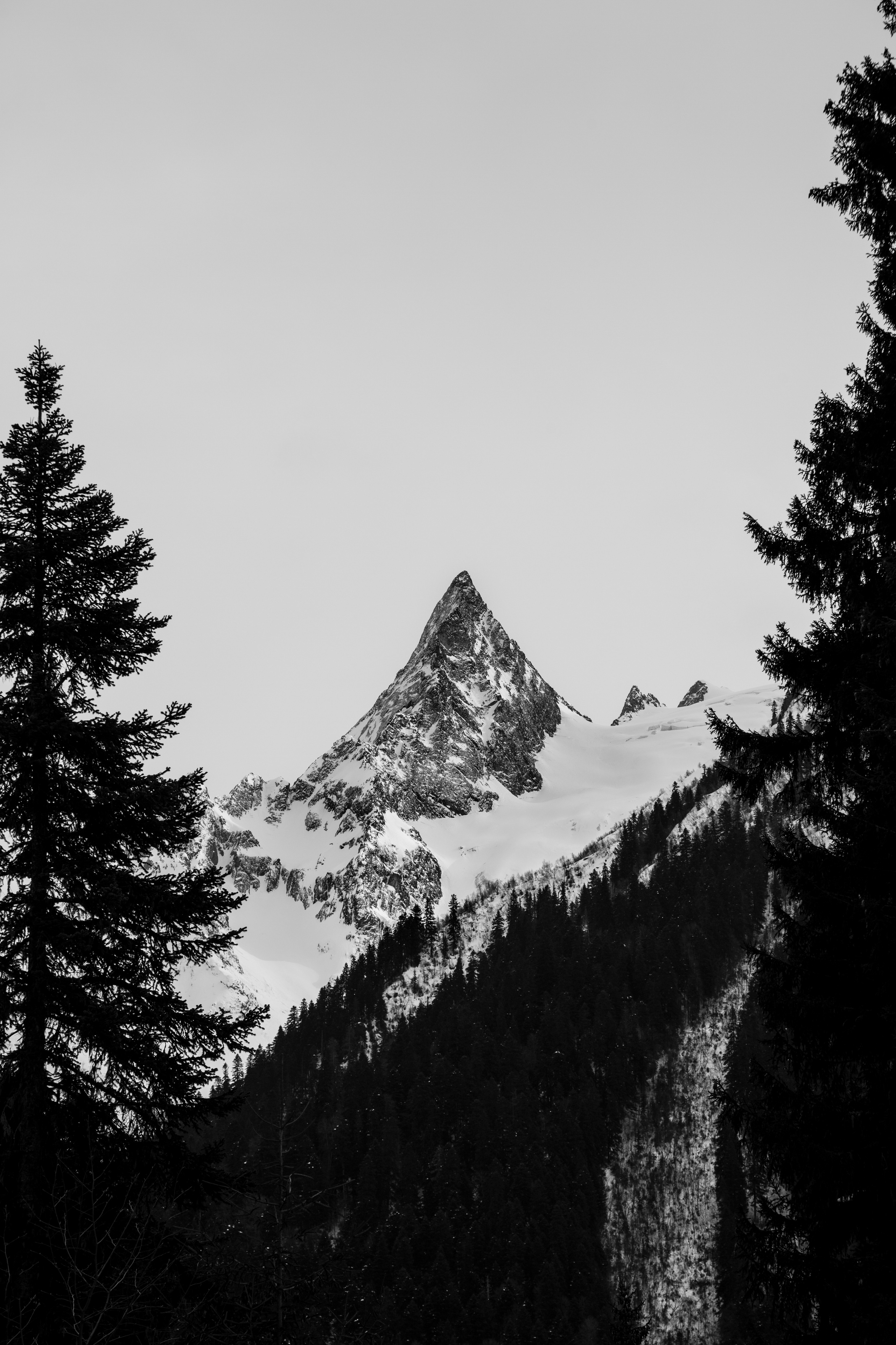 — посозерцать. Фотограф Кочкаев Роман