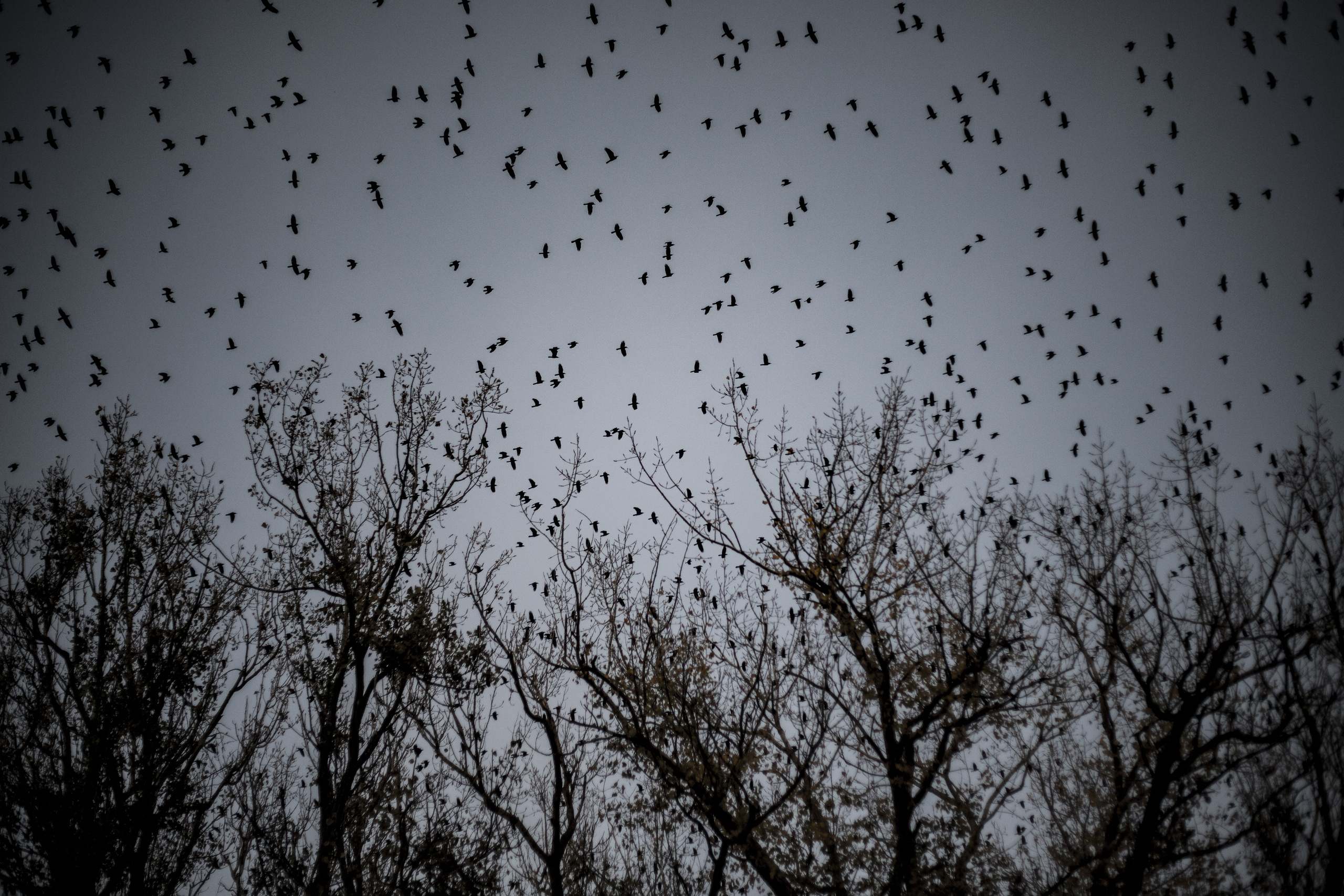 — посозерцать. Фотограф Кочкаев Роман