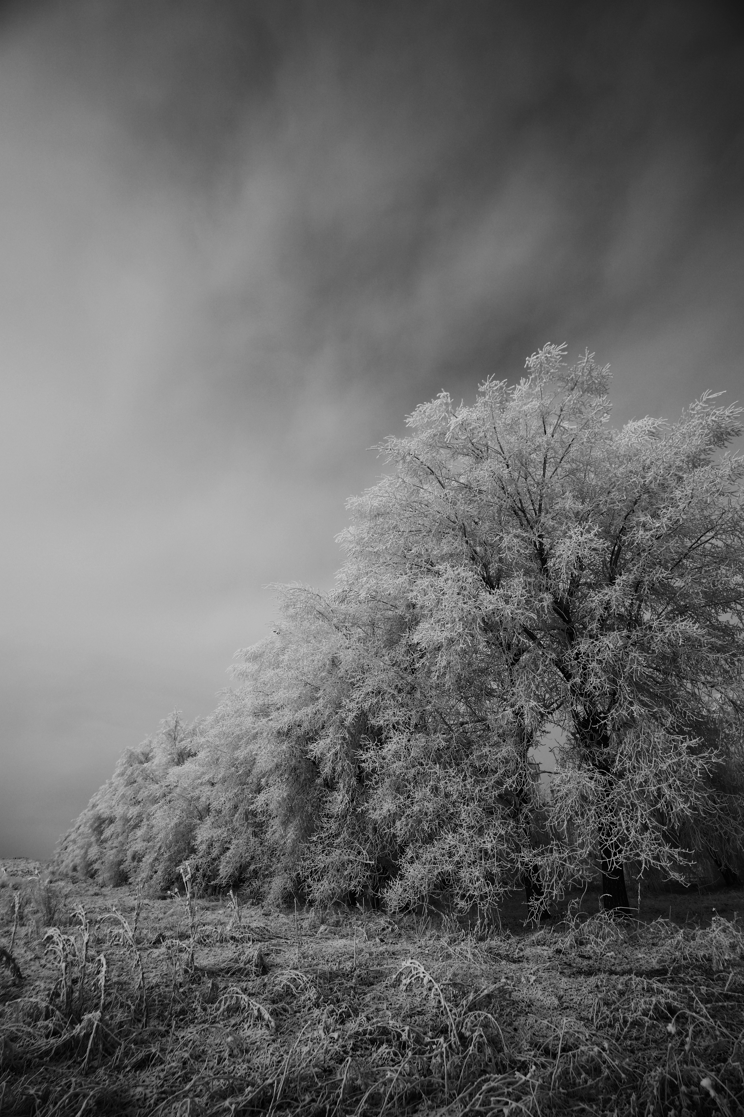 — посозерцать. Фотограф Кочкаев Роман