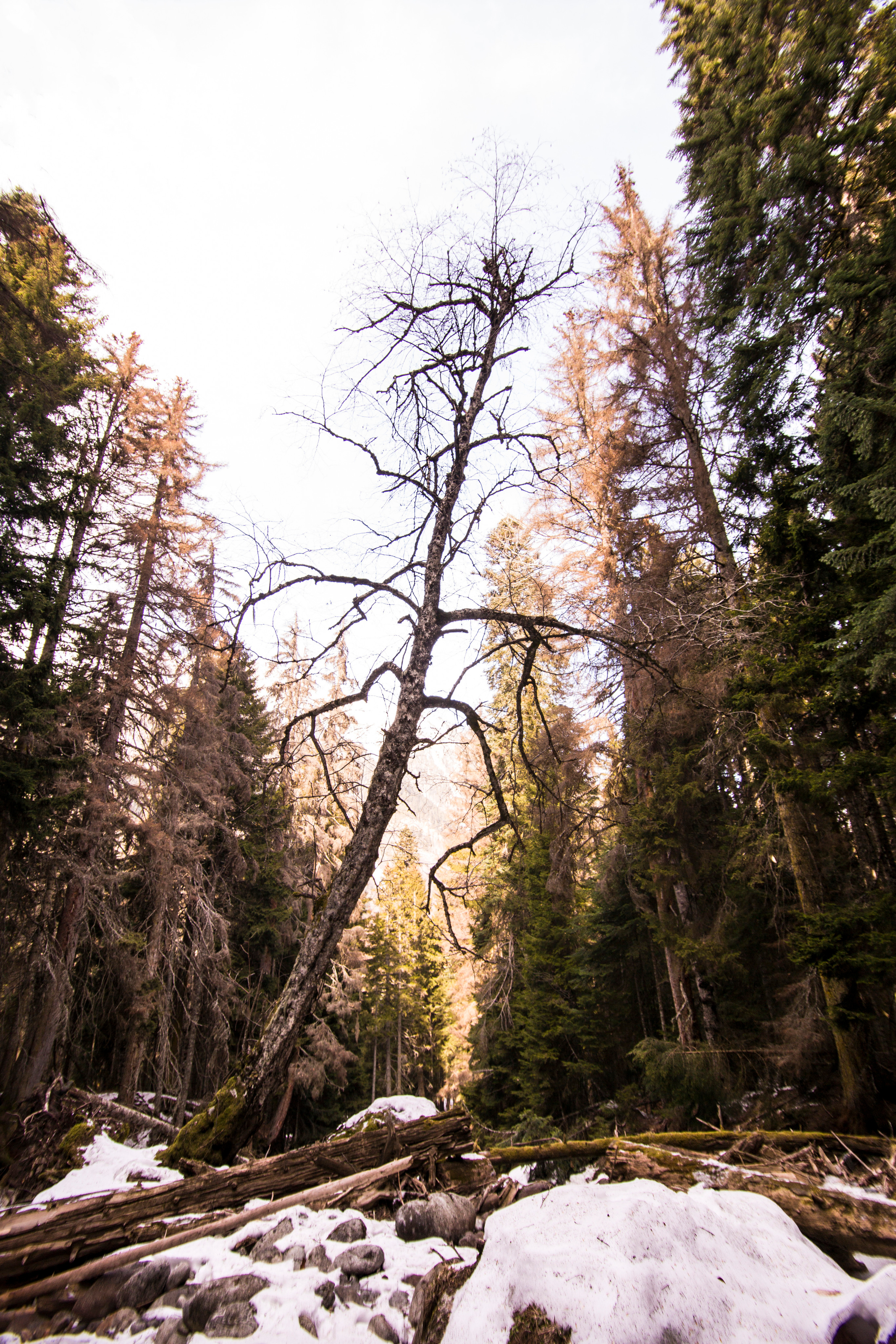 — посозерцать. Фотограф Кочкаев Роман