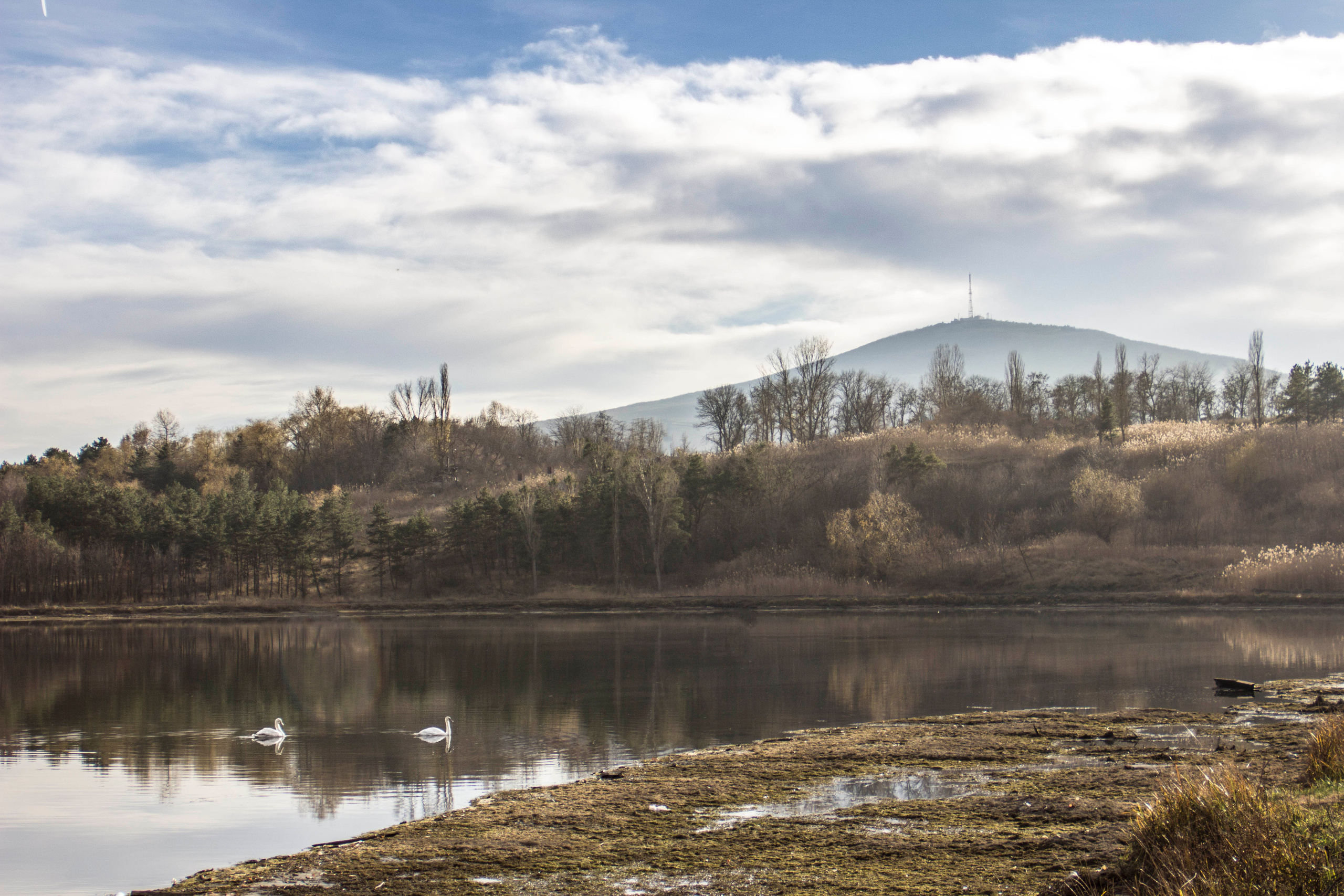 — посозерцать. Фотограф Кочкаев Роман