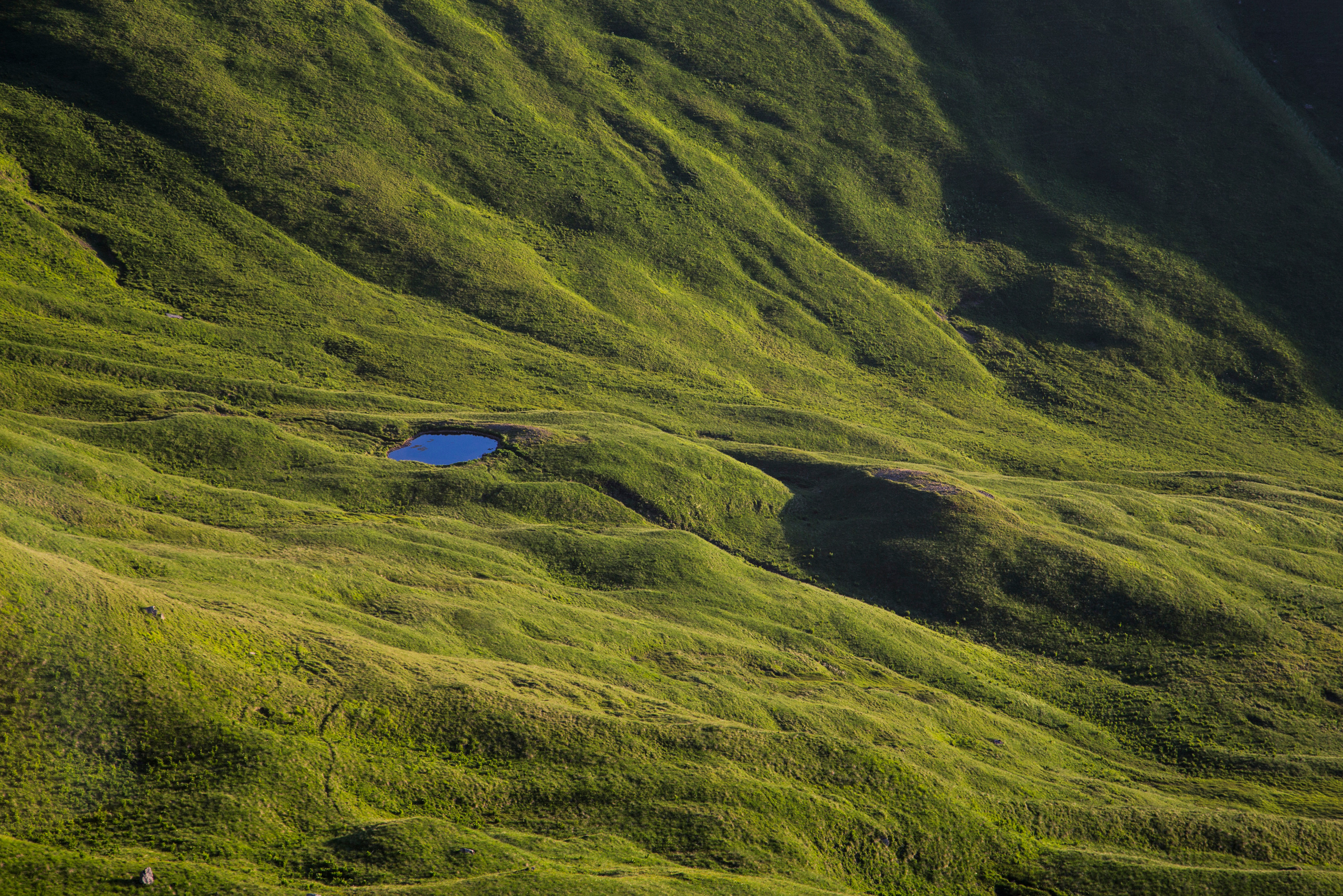 — посозерцать. Фотограф Кочкаев Роман