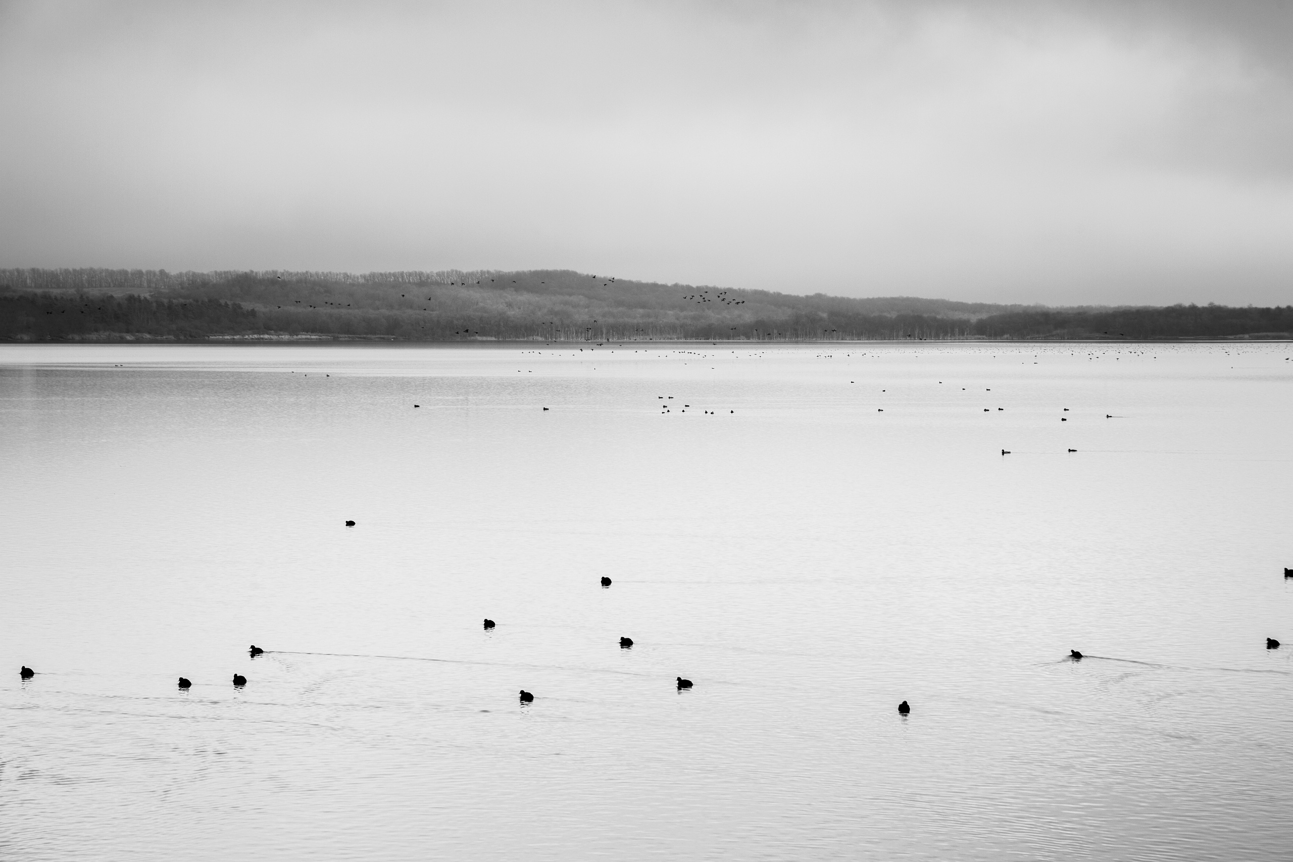 — посозерцать. Фотограф Кочкаев Роман