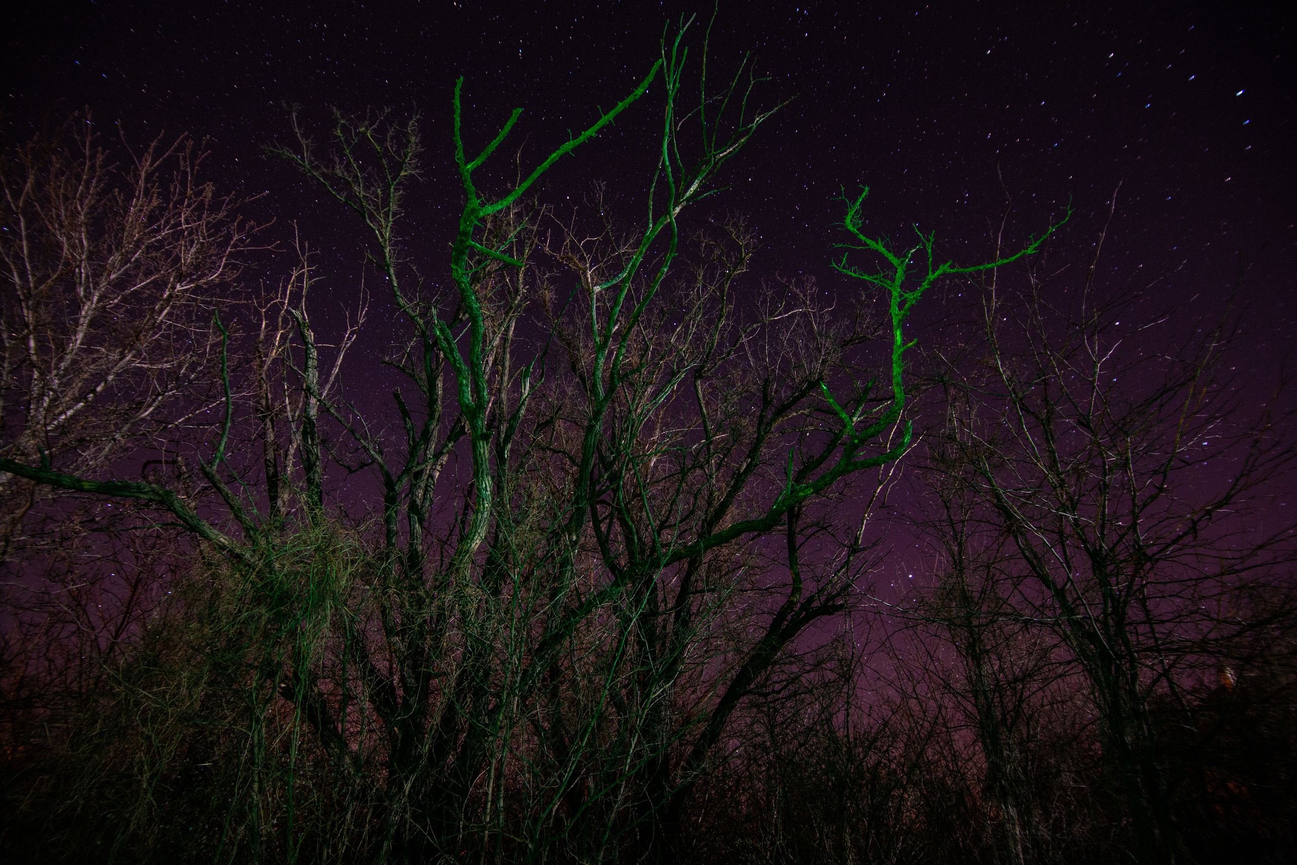 — то что нравится. Фотограф Кочкаев Роман