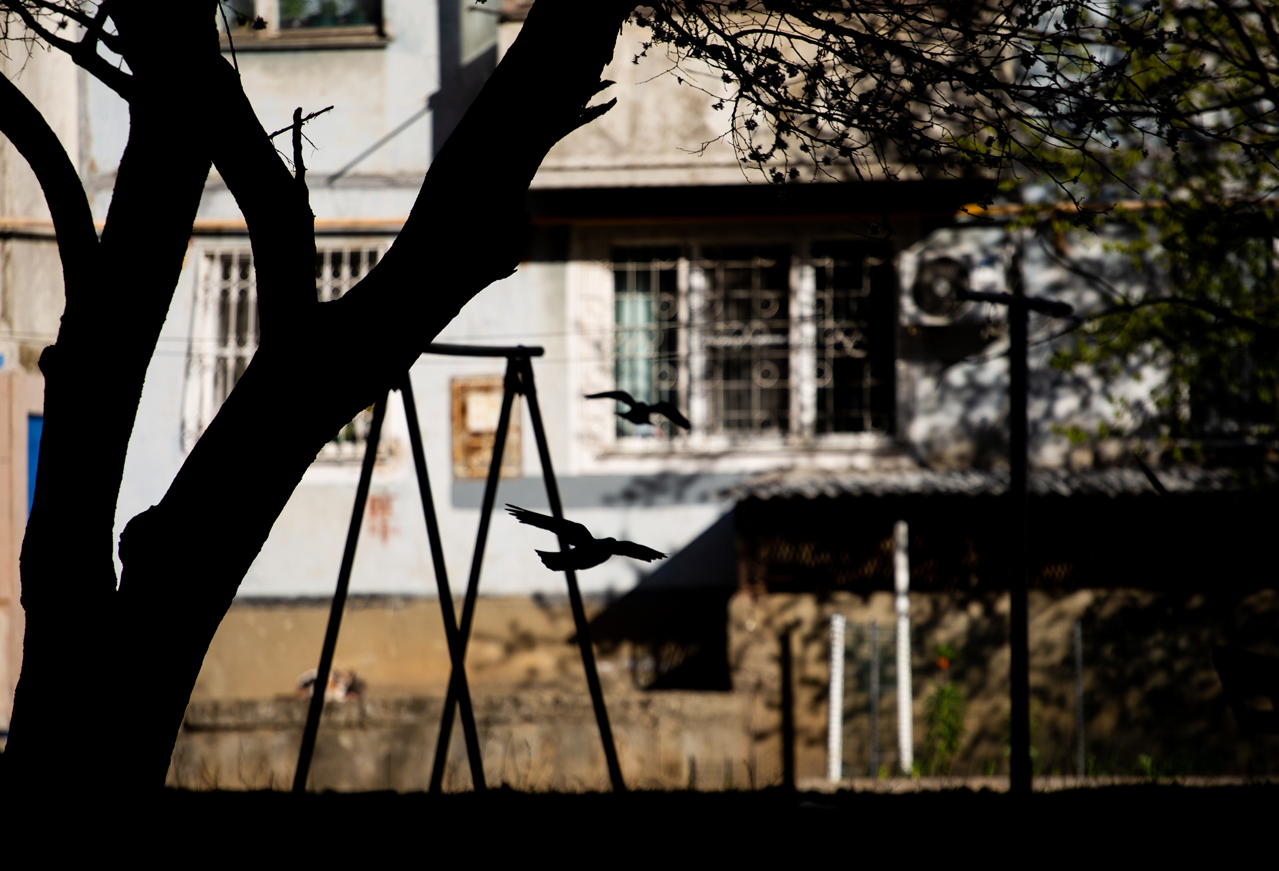 — то что нравится. Фотограф Кочкаев Роман