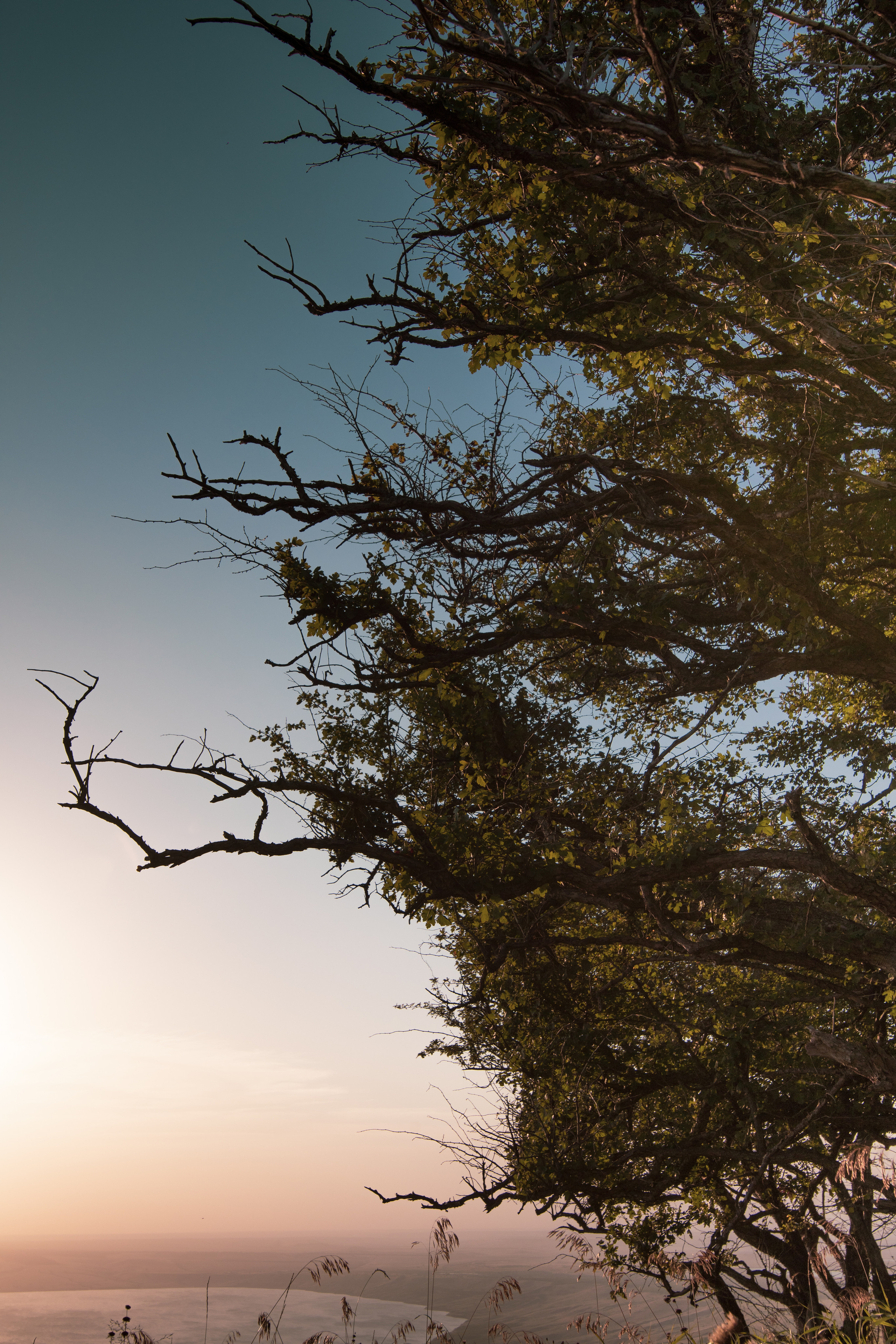 — посозерцать. Фотограф Кочкаев Роман