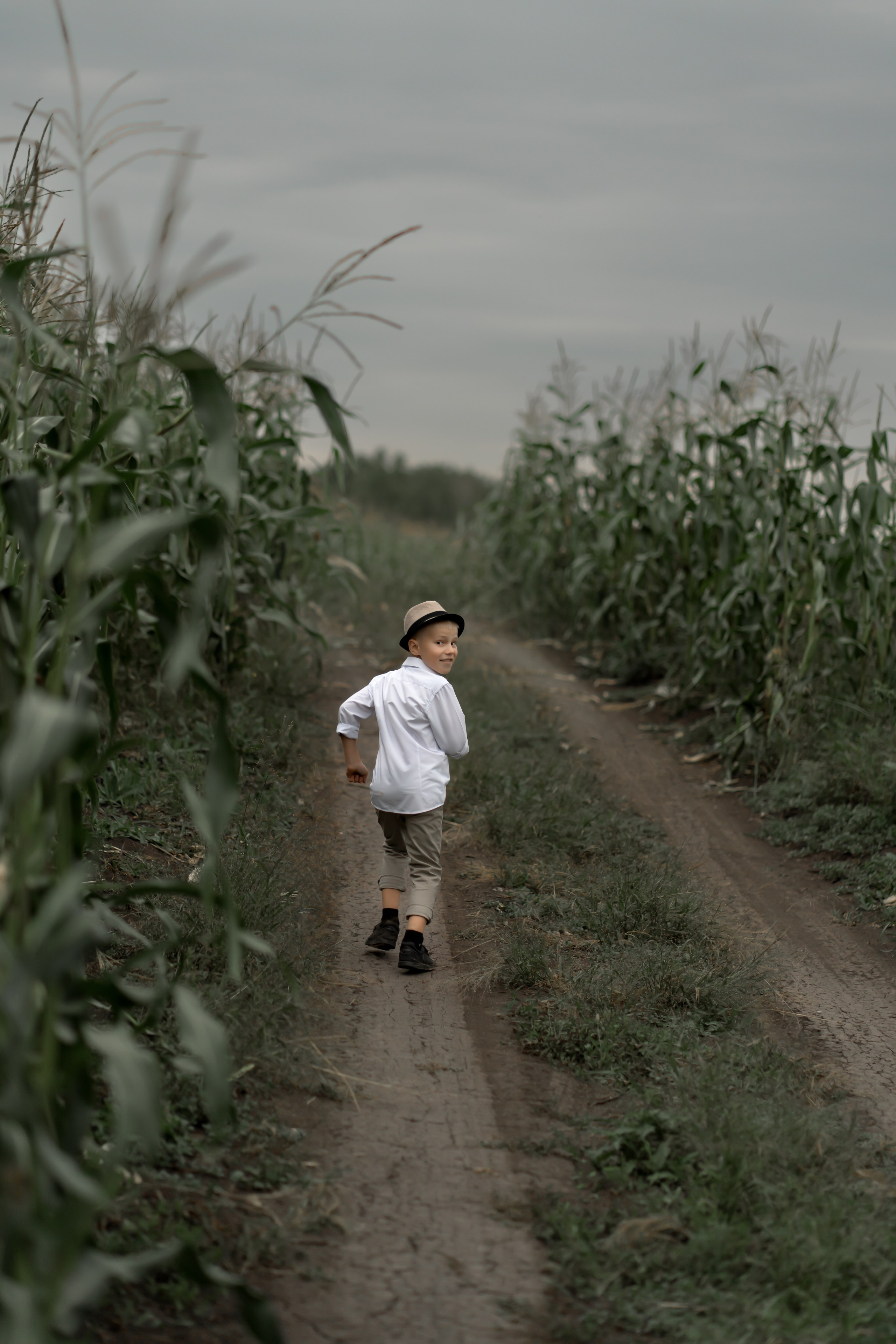 Прогулка в кукурузе. Фотограф в Красноярске. Юлия Чаушанская