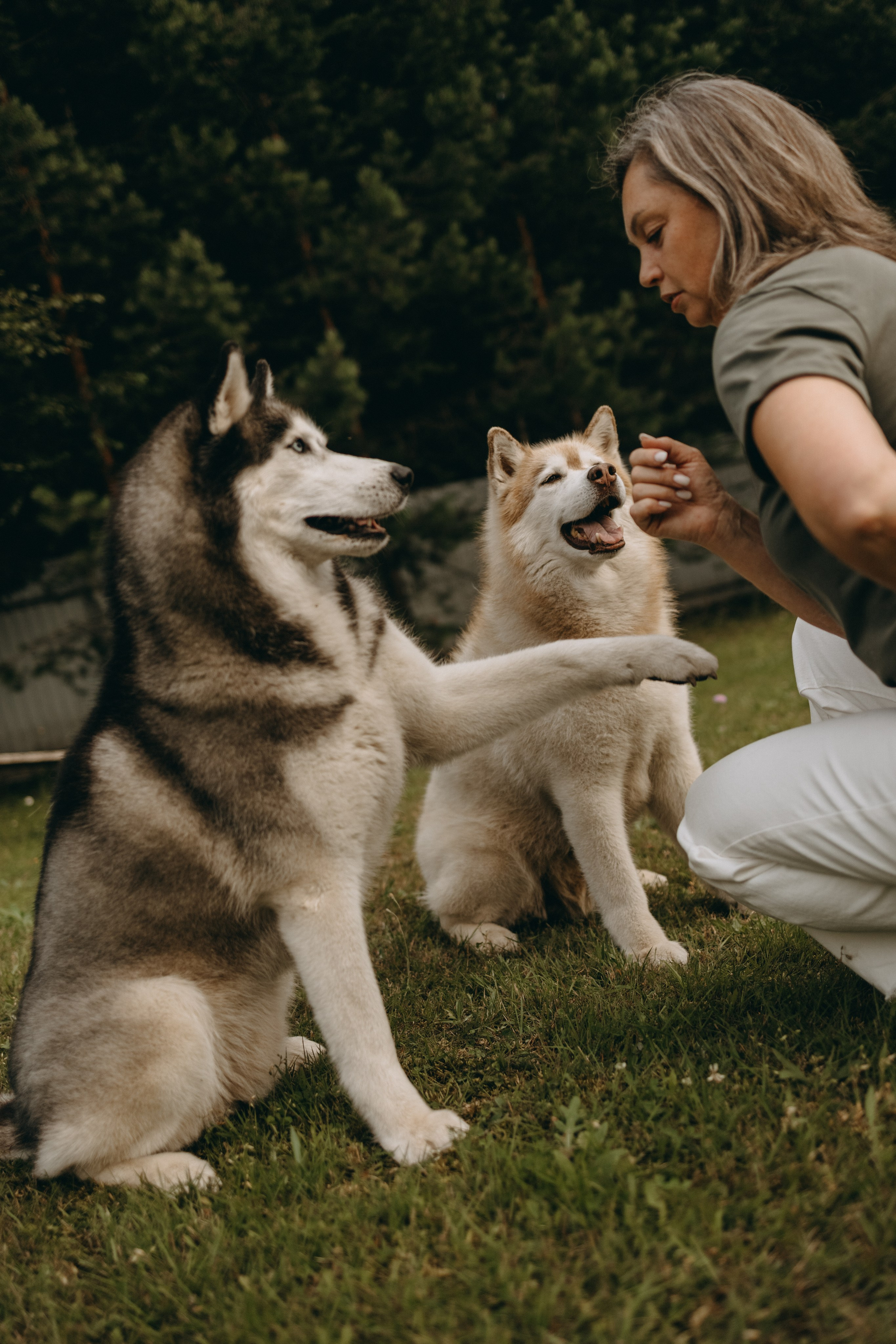 Дом у реки. Фотограф — Анималист | Санкт-Петербург