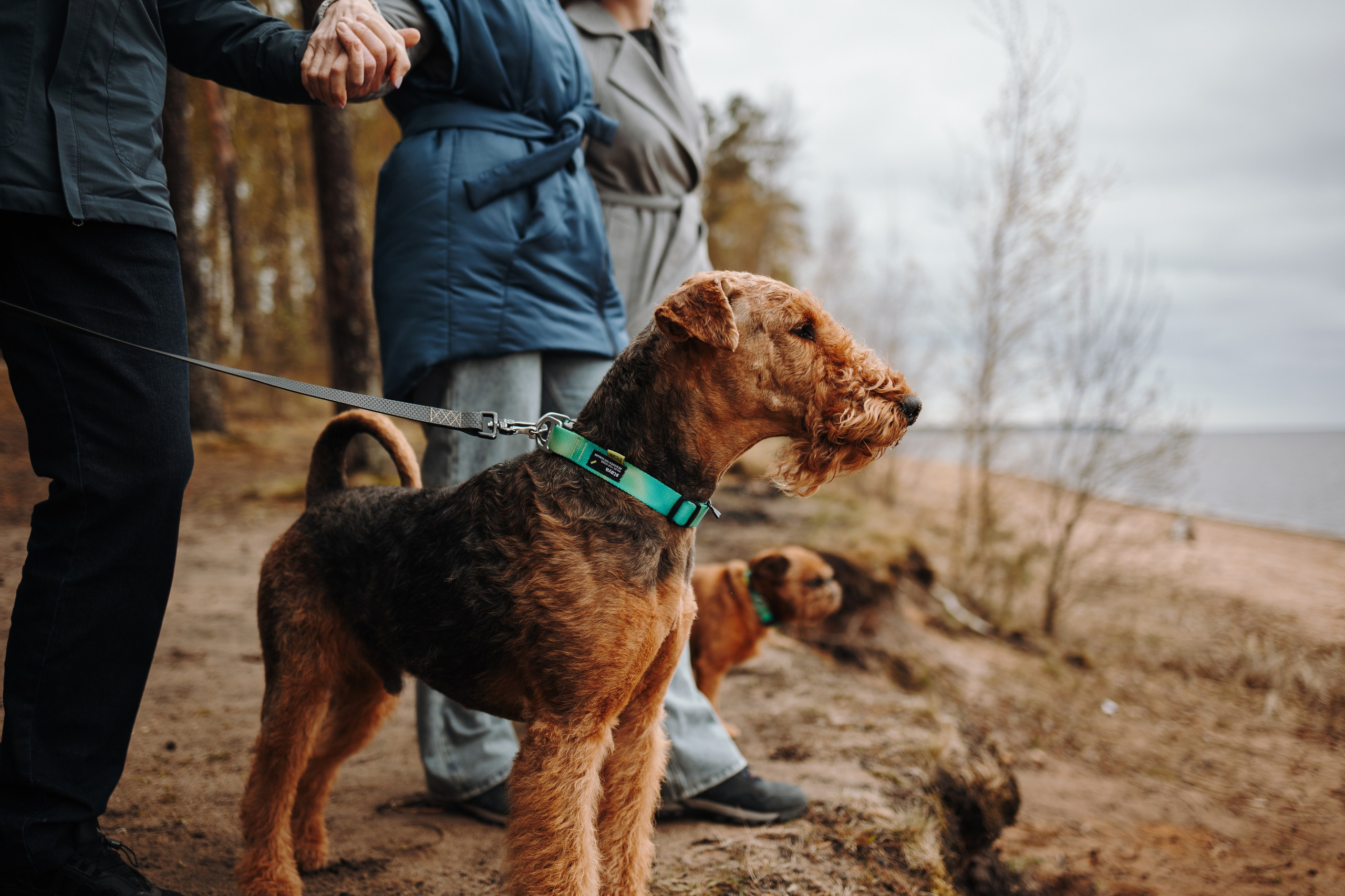 Вера и ее семья. Фотограф — Анималист | Санкт-Петербург